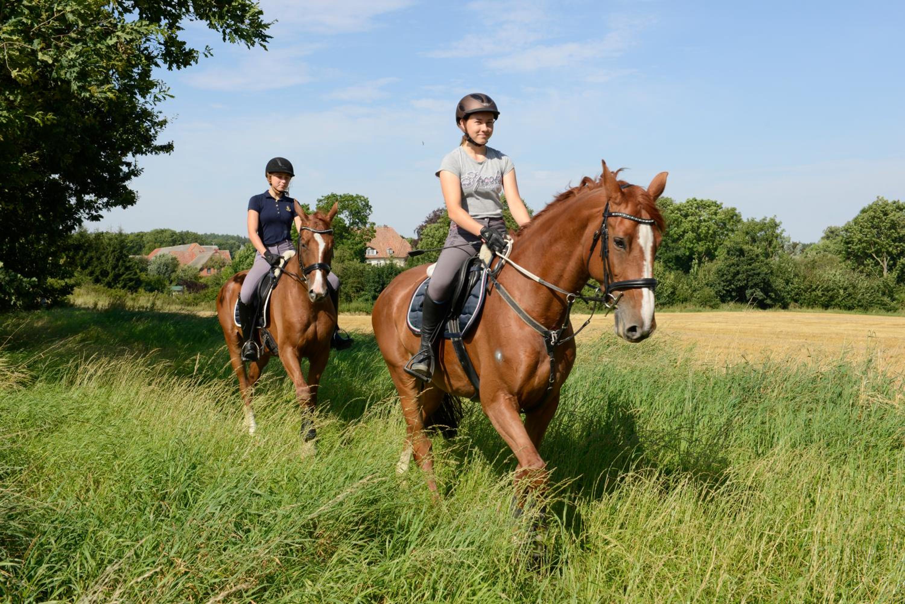 Ferien und Pferdehof Gut Klein Nienhagen