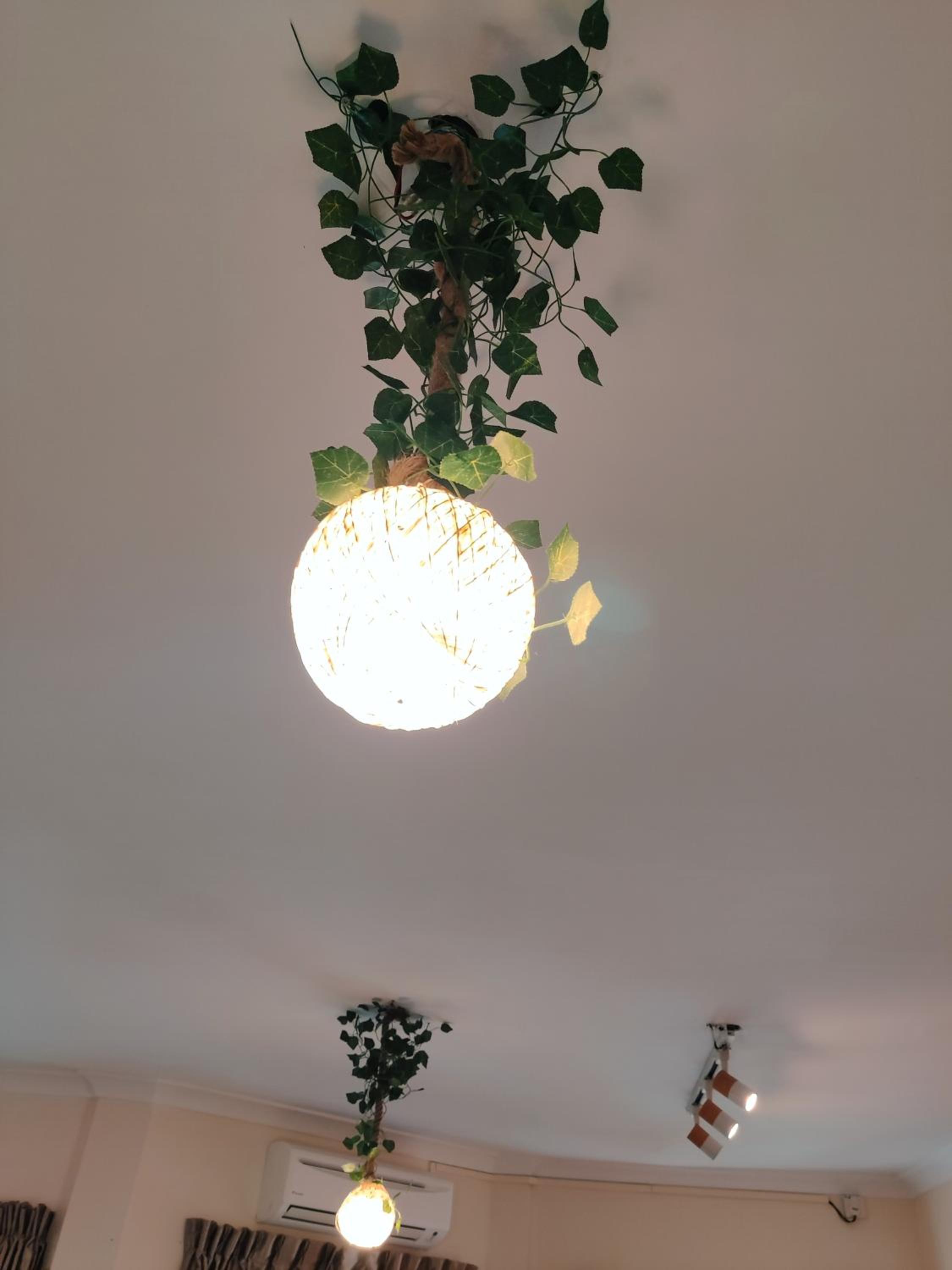 Photo 51