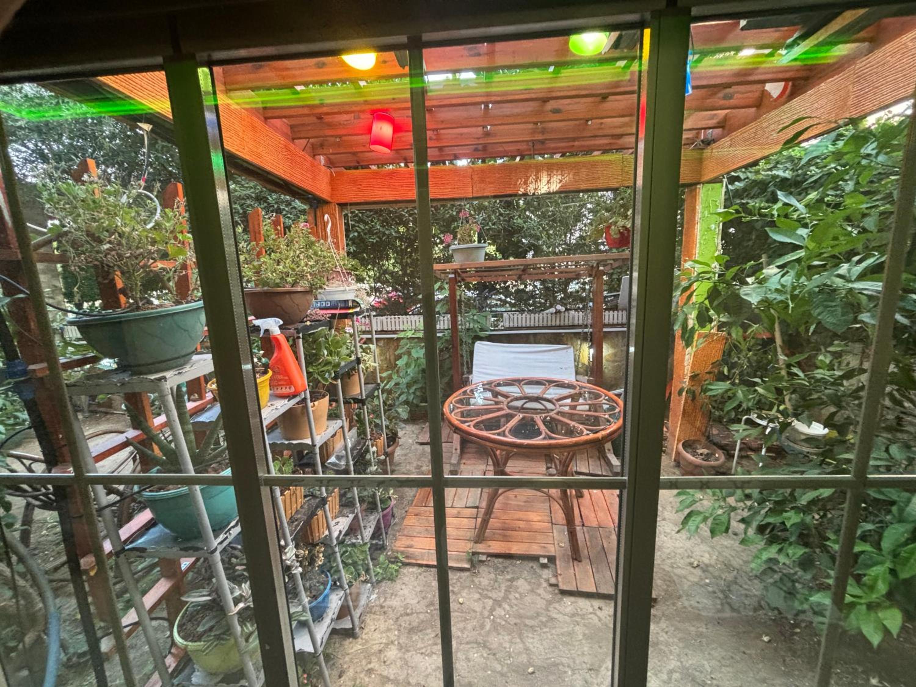 Orange Garden