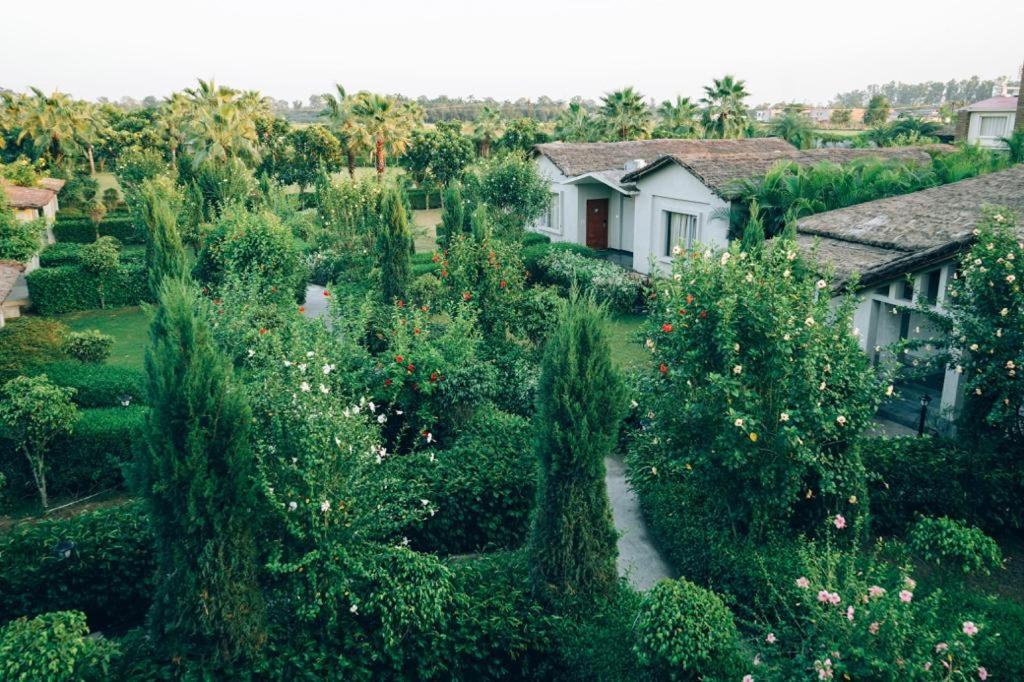 5 Senses Corbett Richness Luxuries Resort ! Destination Wedding & Corporate Events view 4