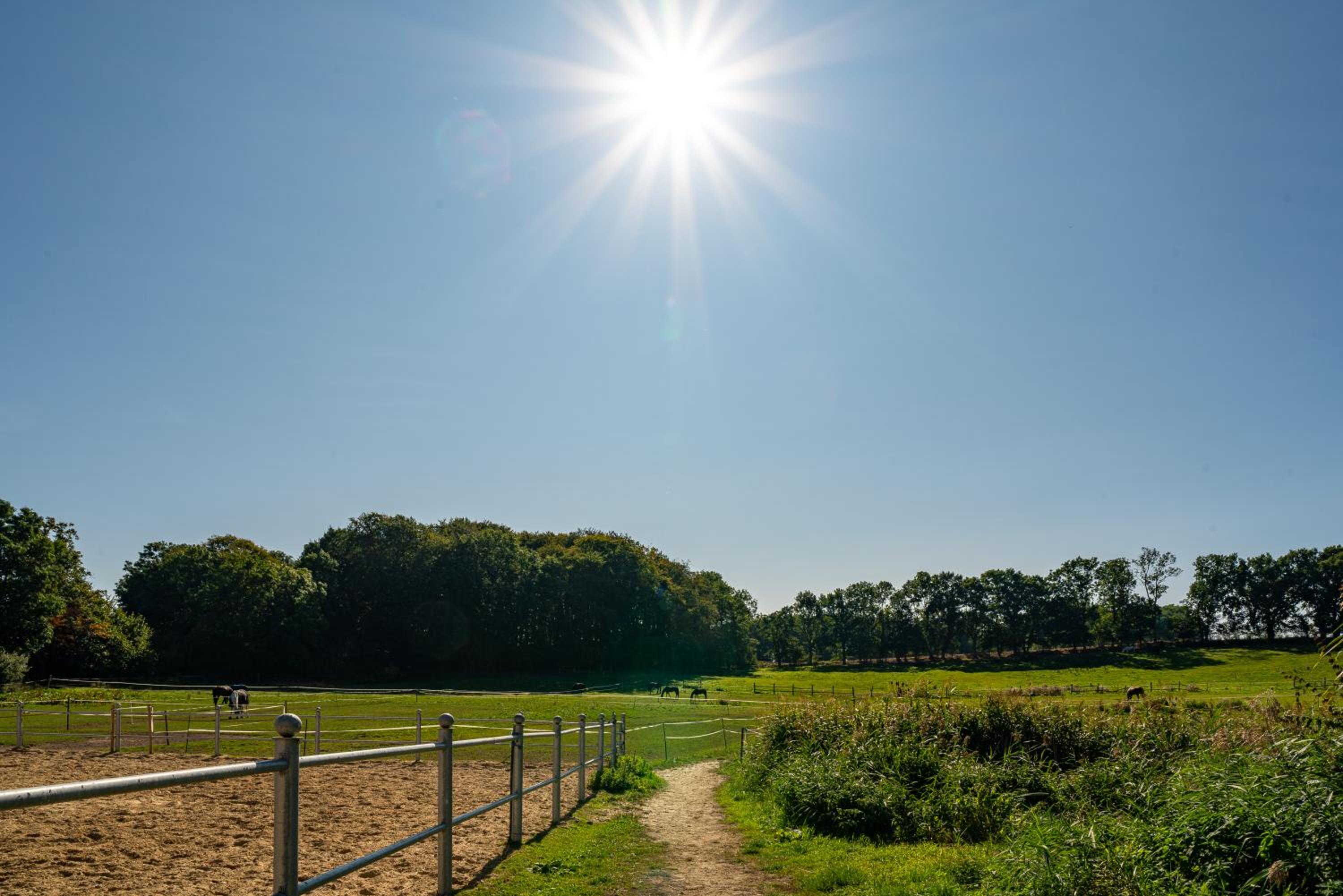 Ferien und Pferdehof Gut Klein Nienhagen
