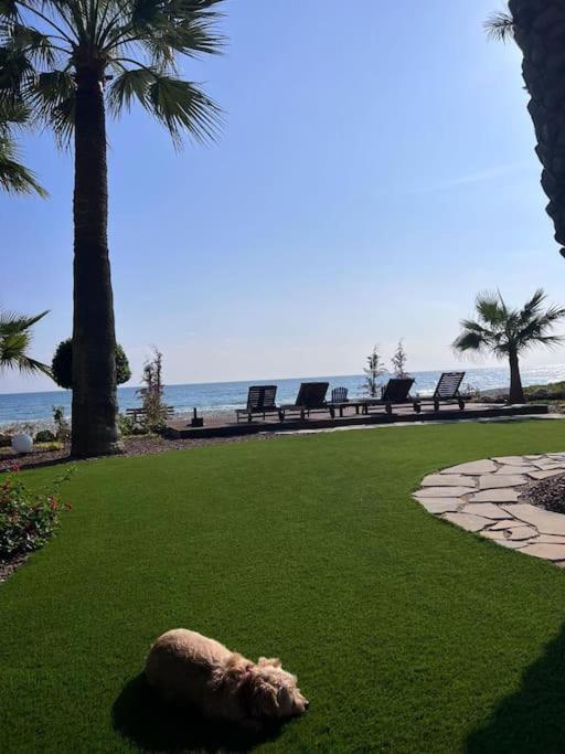 Beachfront villa Meneou
