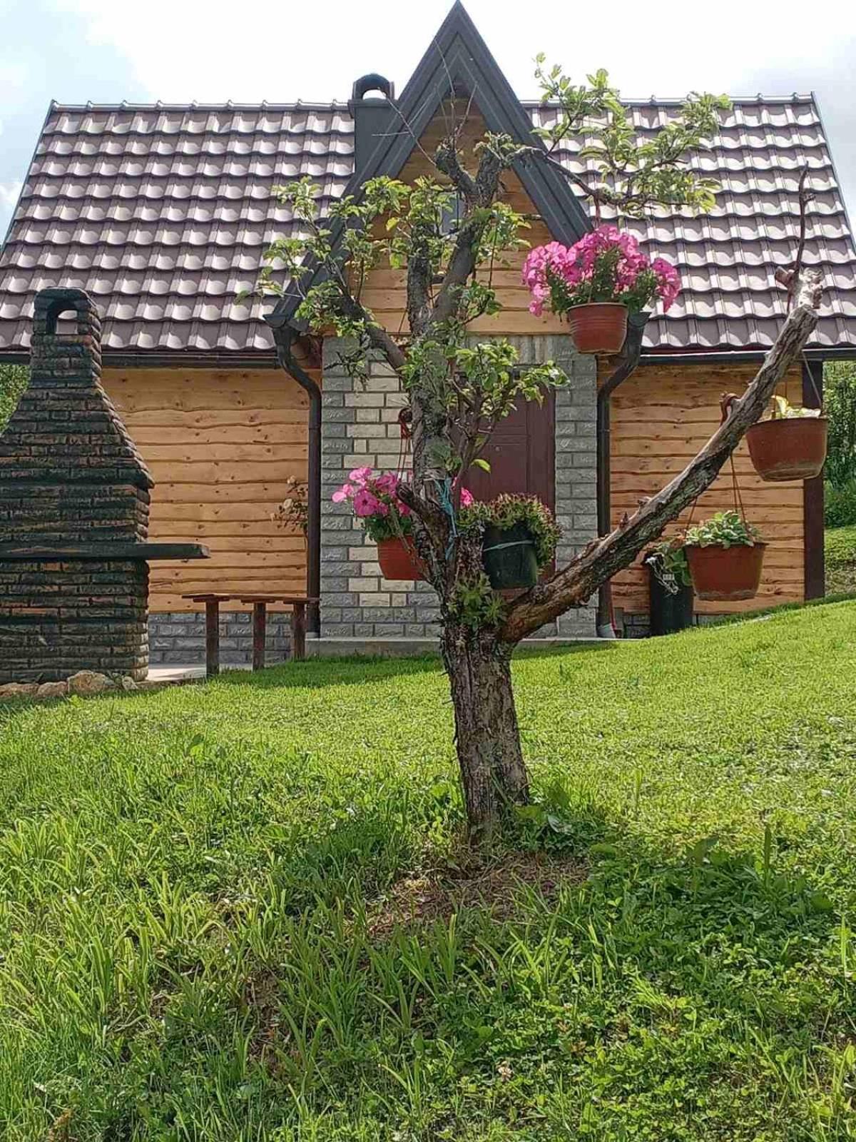 Planinska kuća Rabas