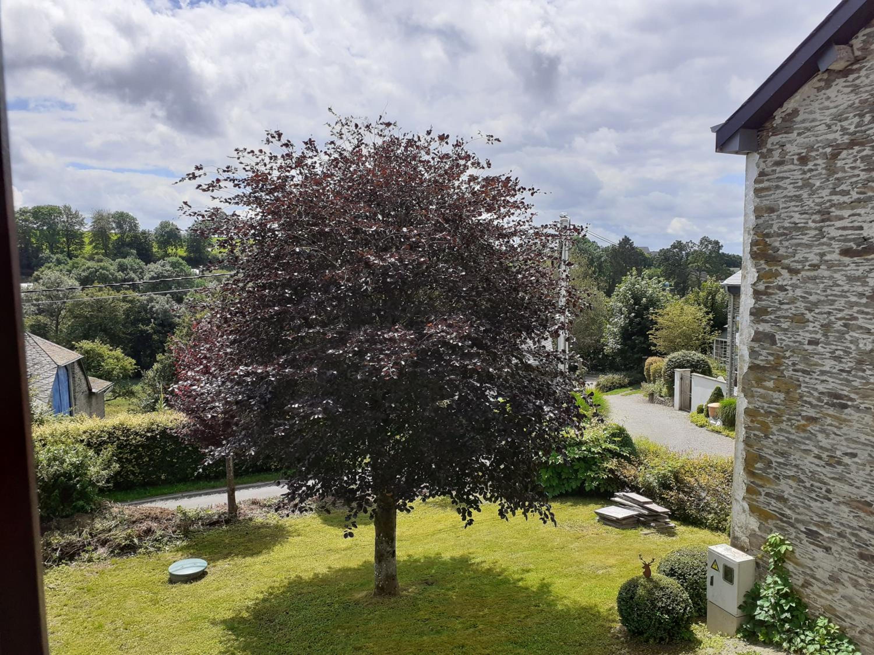 B&B De Patuljak