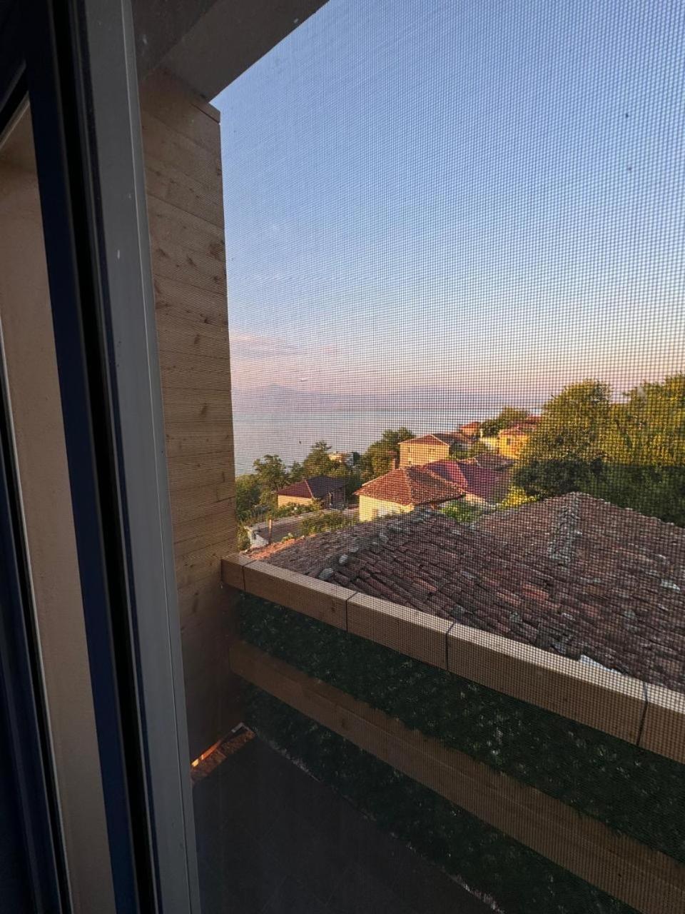 Bujtina e Qilimave
