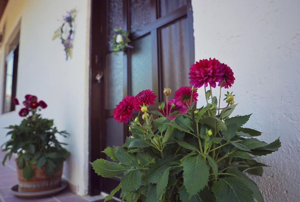Beautiful Villa in Crete Near The Sea - 200sqm