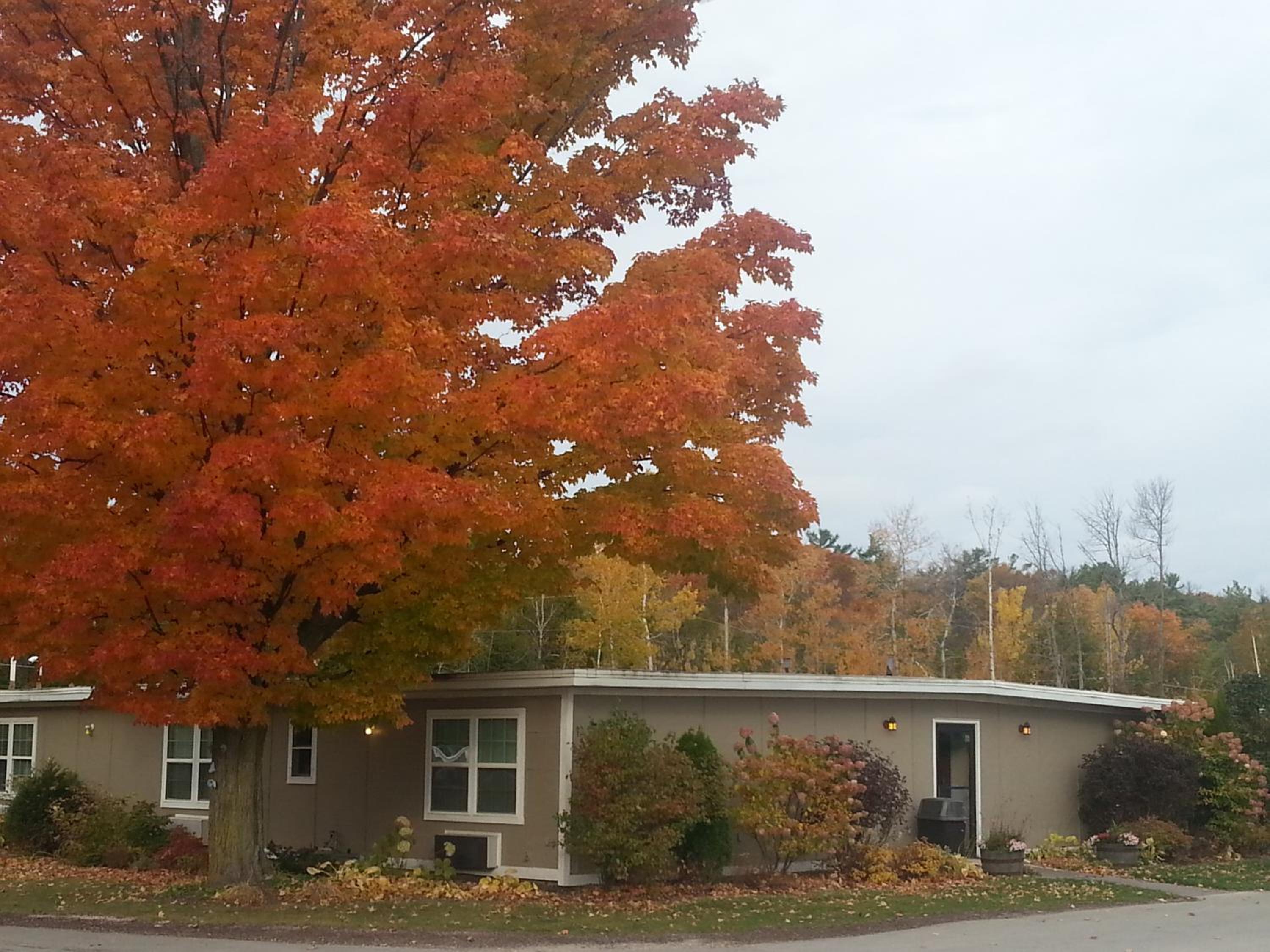 Hotel Beach Harbor Resort - Image 1