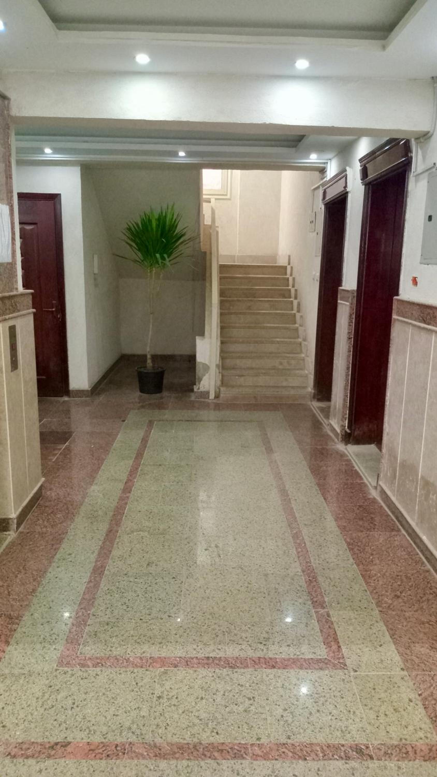 Cozy Flat near Cairo Airport