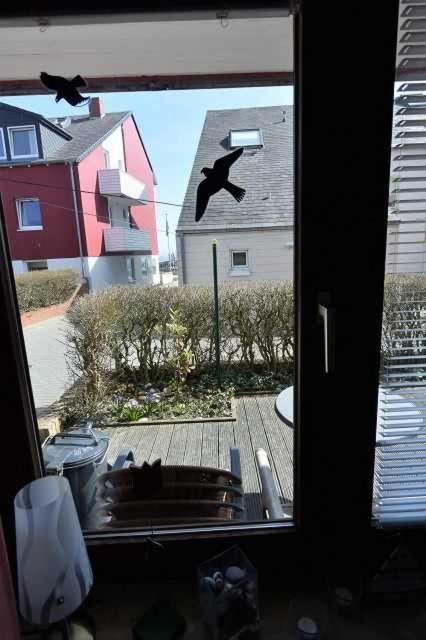 Halunder Hüs