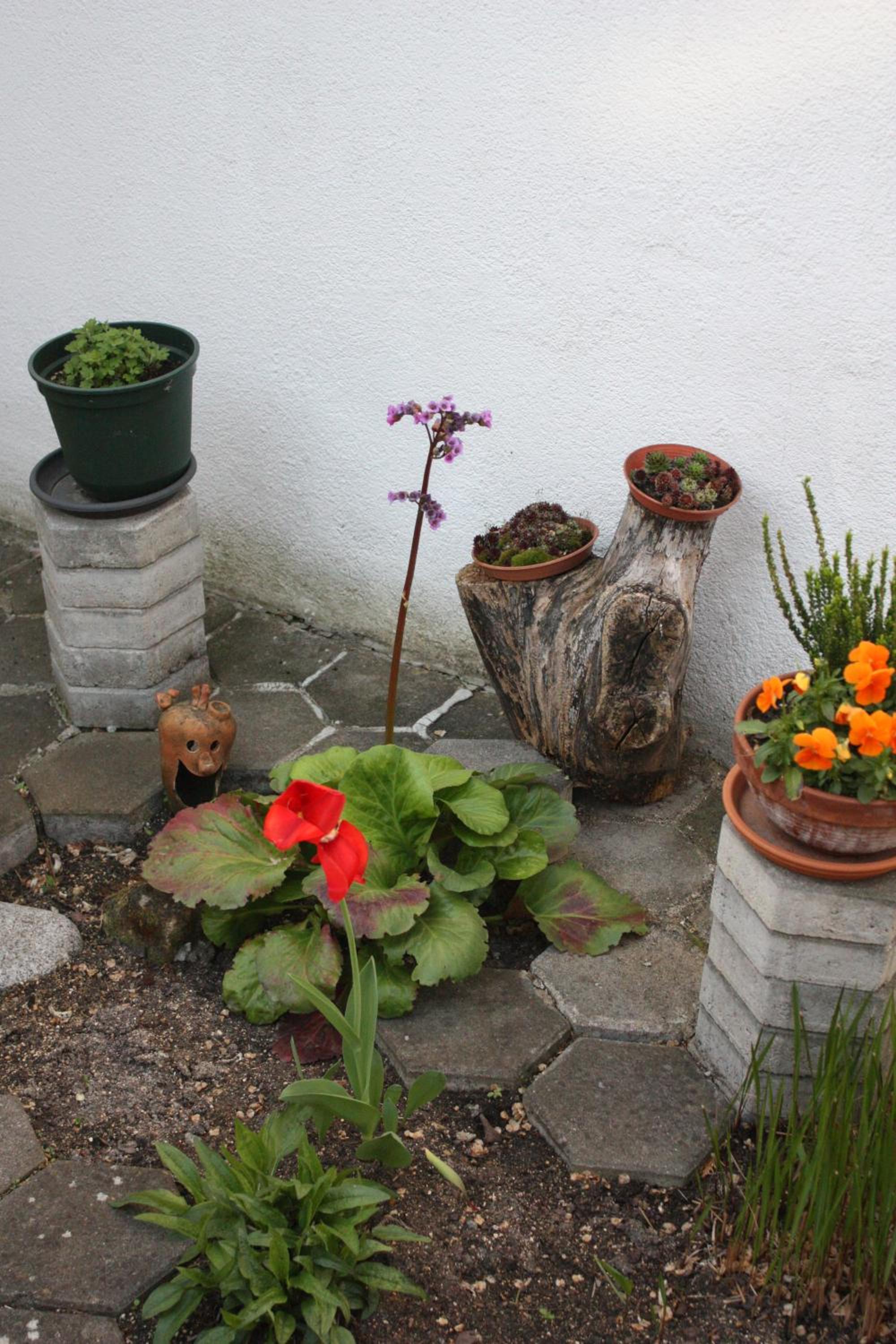 Ferienwohnung Birgit