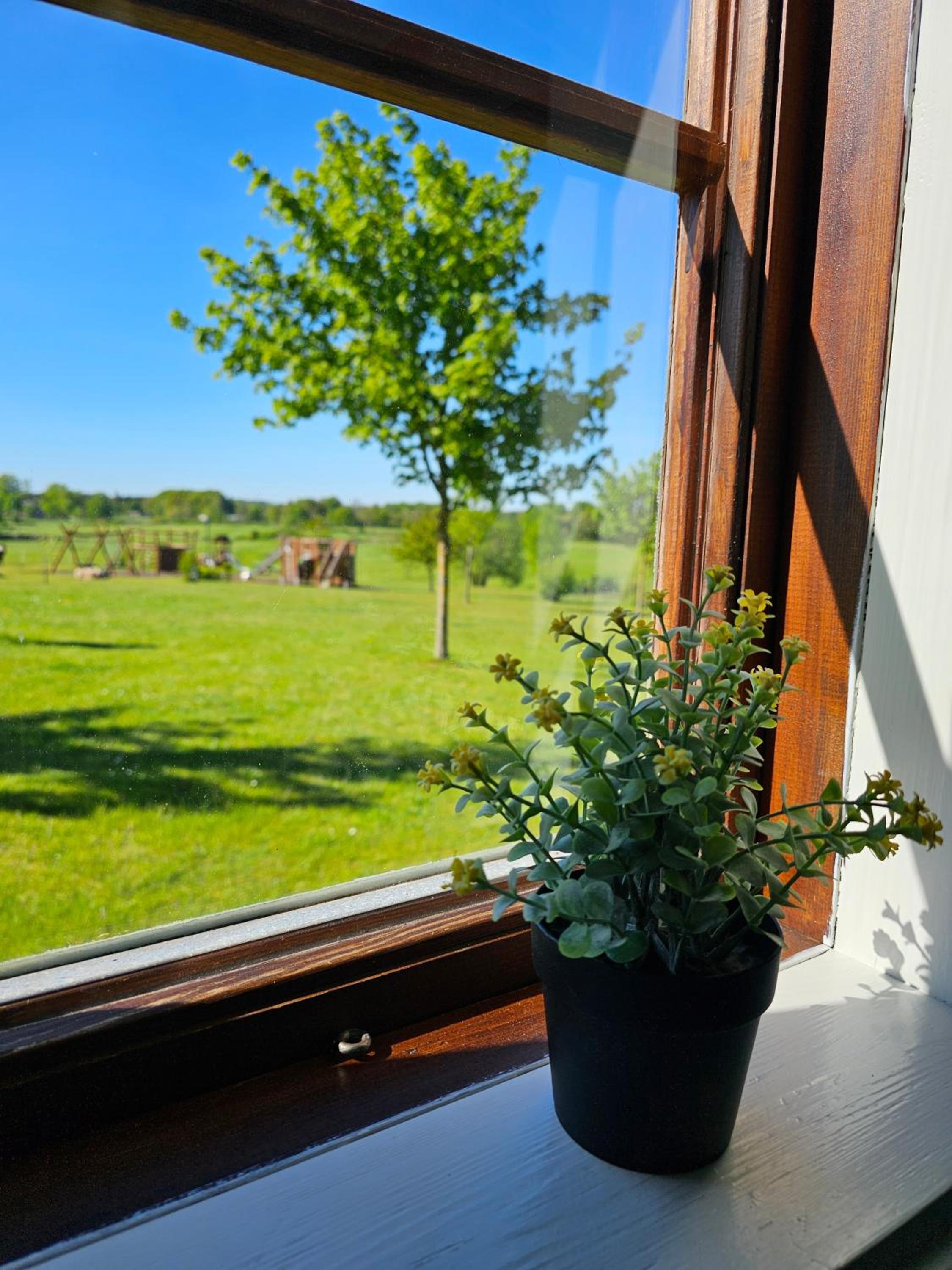 Husdjursvänlig semesterstuga Lillaskogen