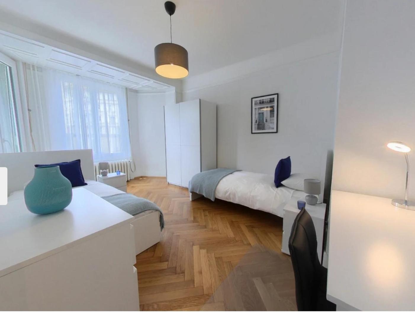 Lausanne City Center Apartments, Minutes Away from the Lake! AM53
