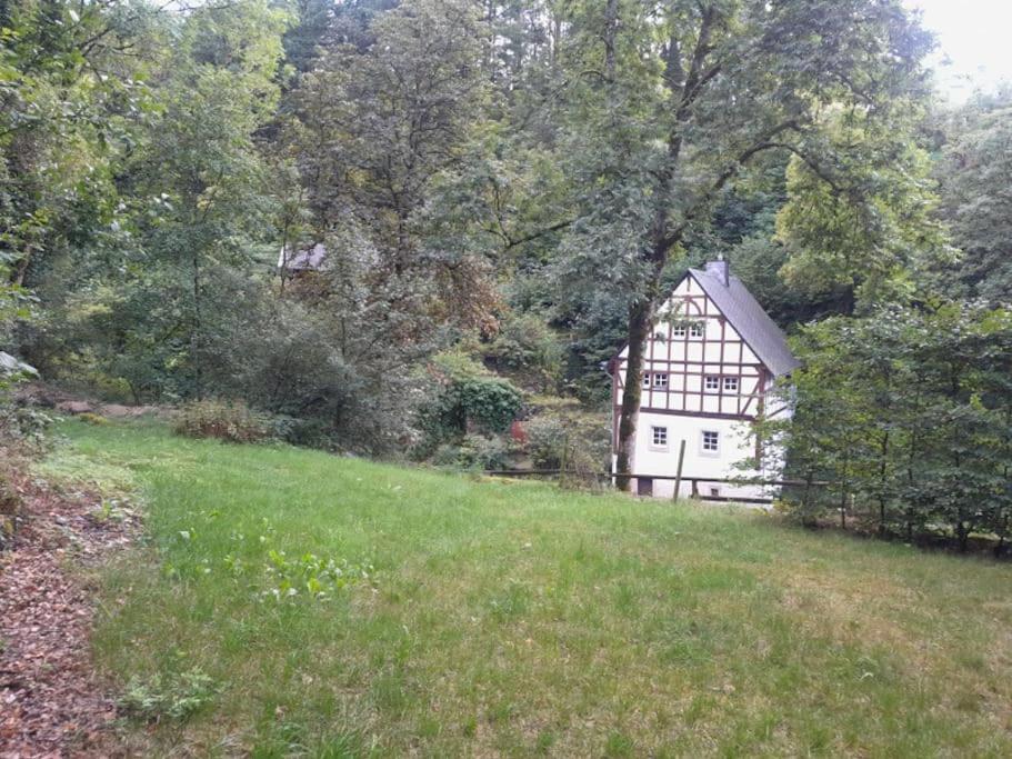 Manderscheid! a delight!