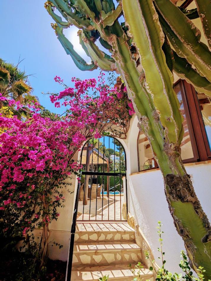 Casa Morissa