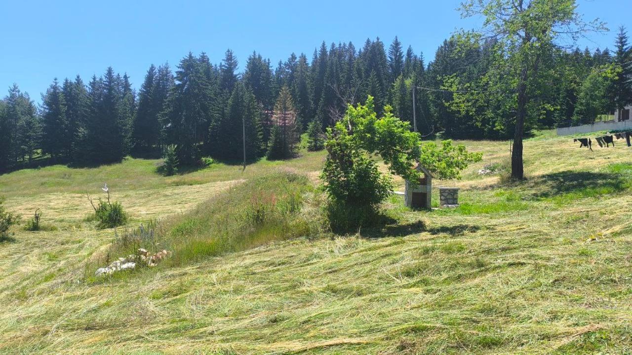 Apartmani Stara kuca