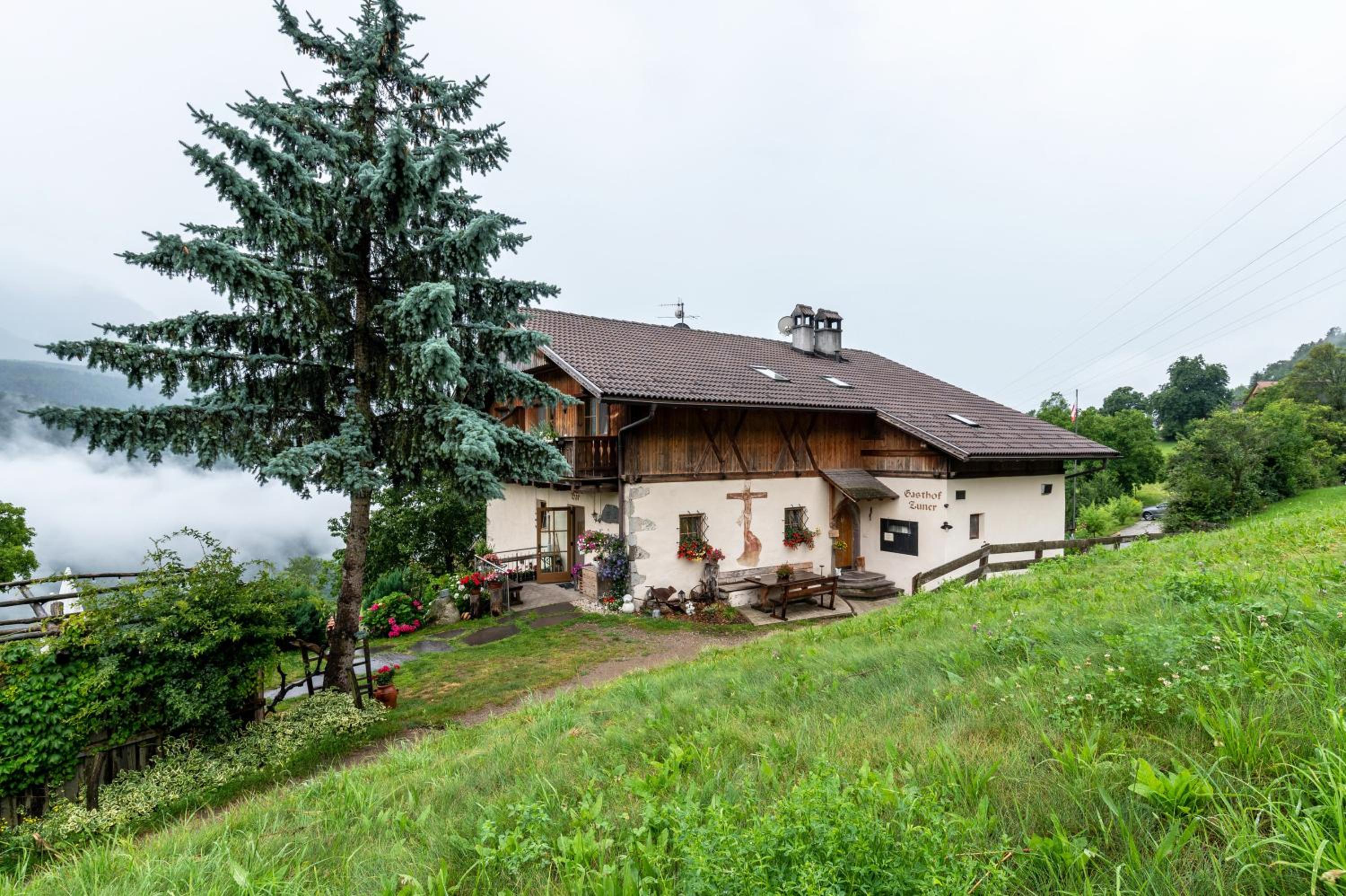 Zunerhof Studio Fenn
