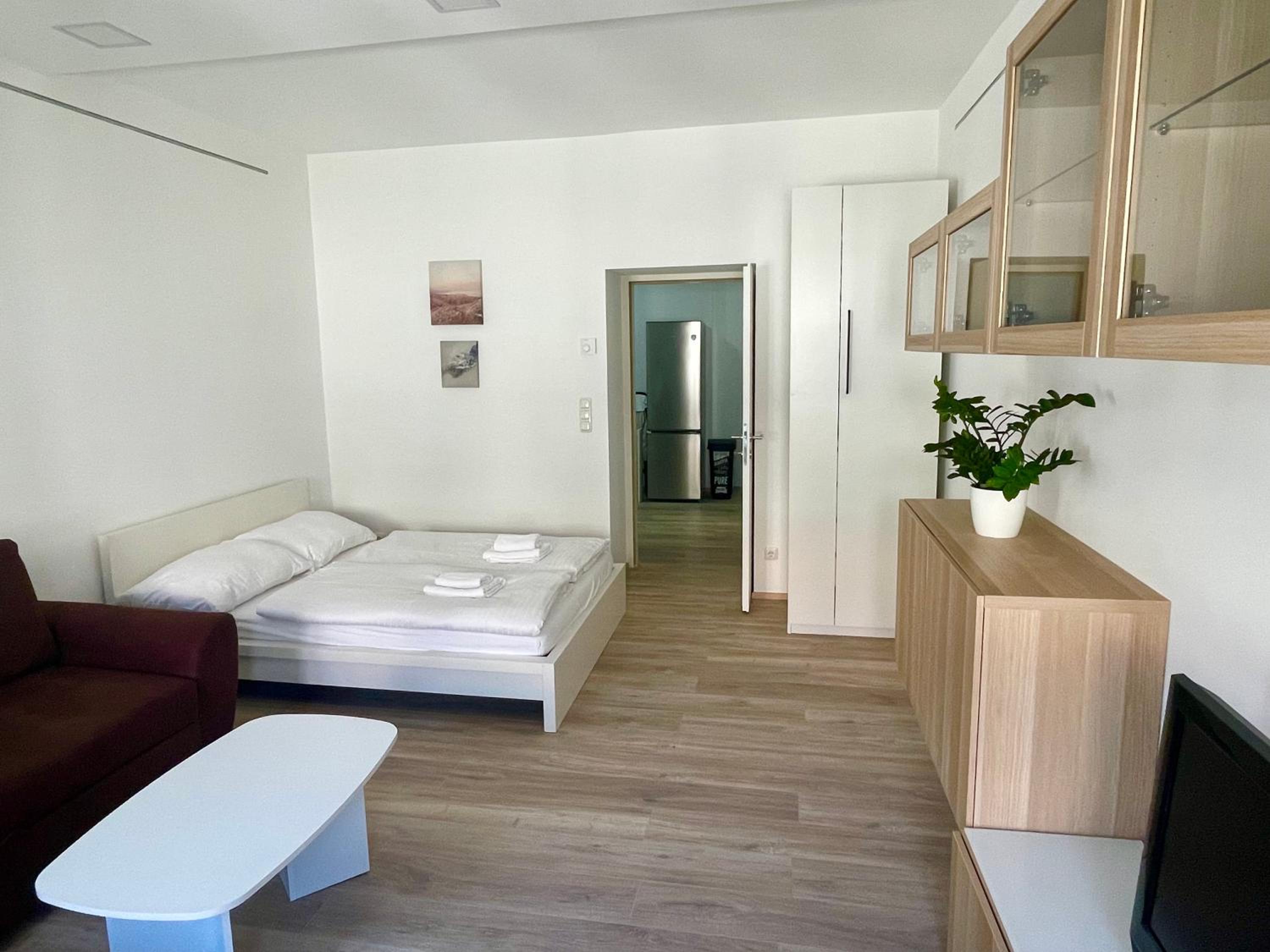 Kleine Studiowohnung in der Braunhirschengasse