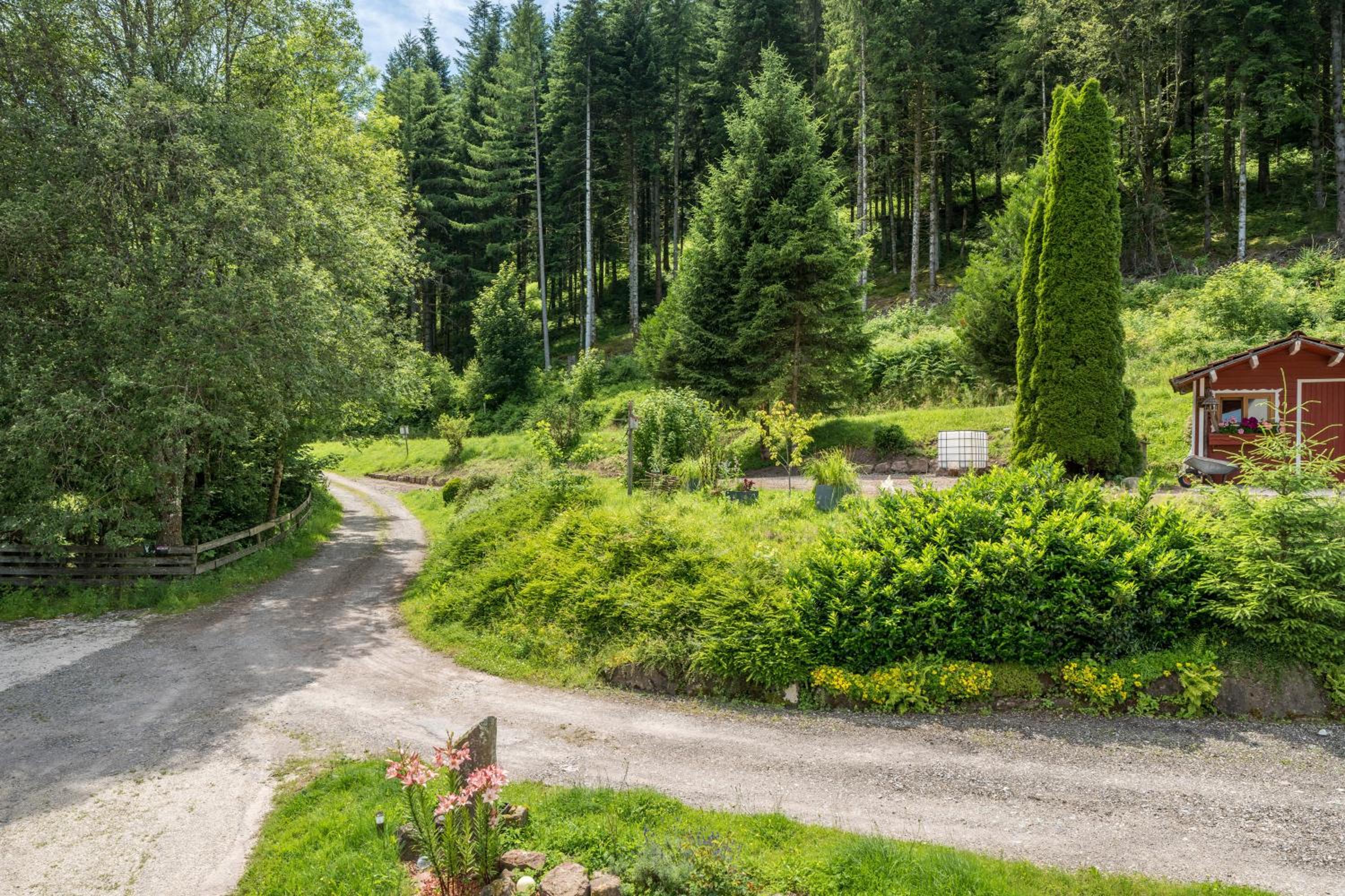 Ferienwohnung Waldblick