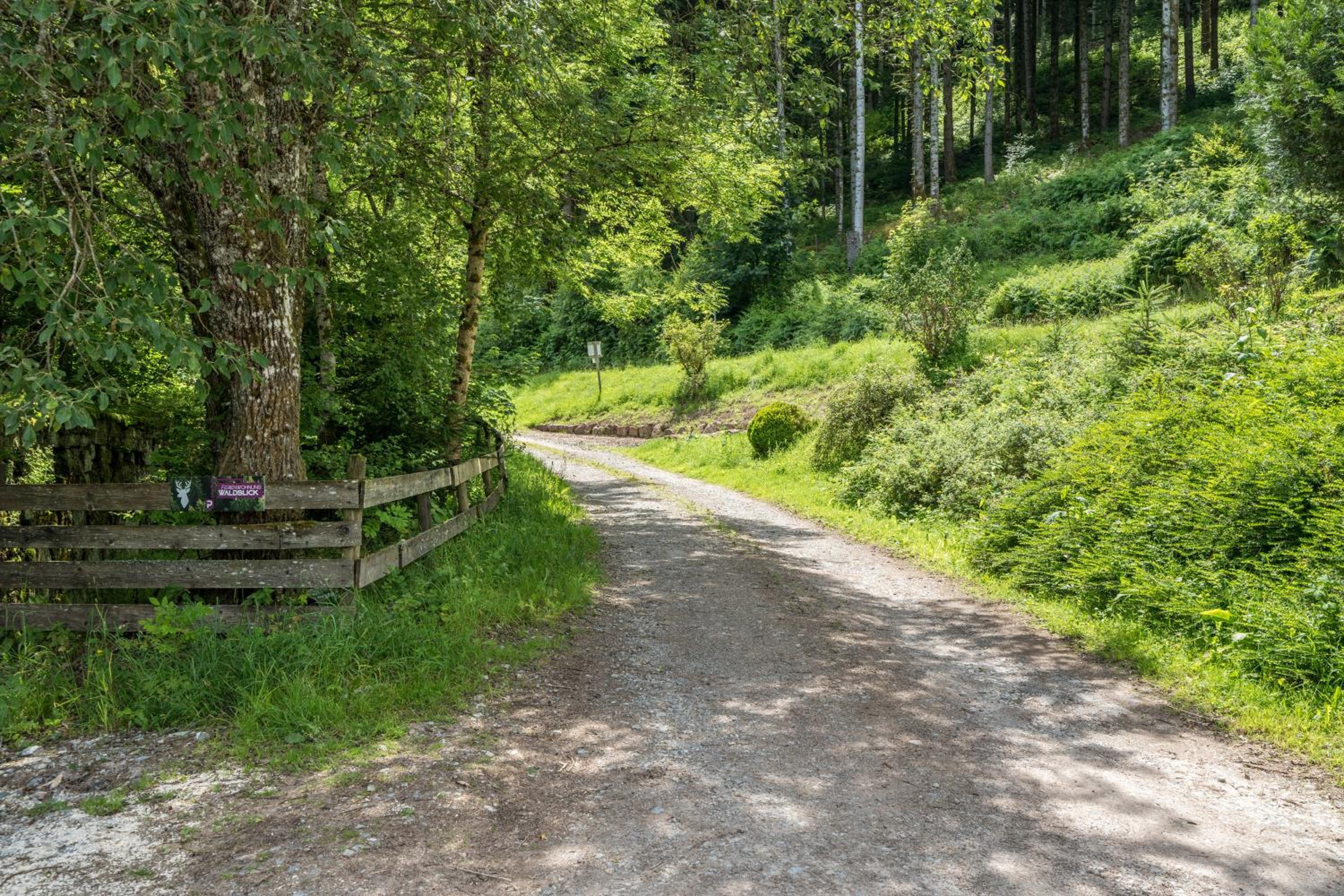 Ferienwohnung Waldblick