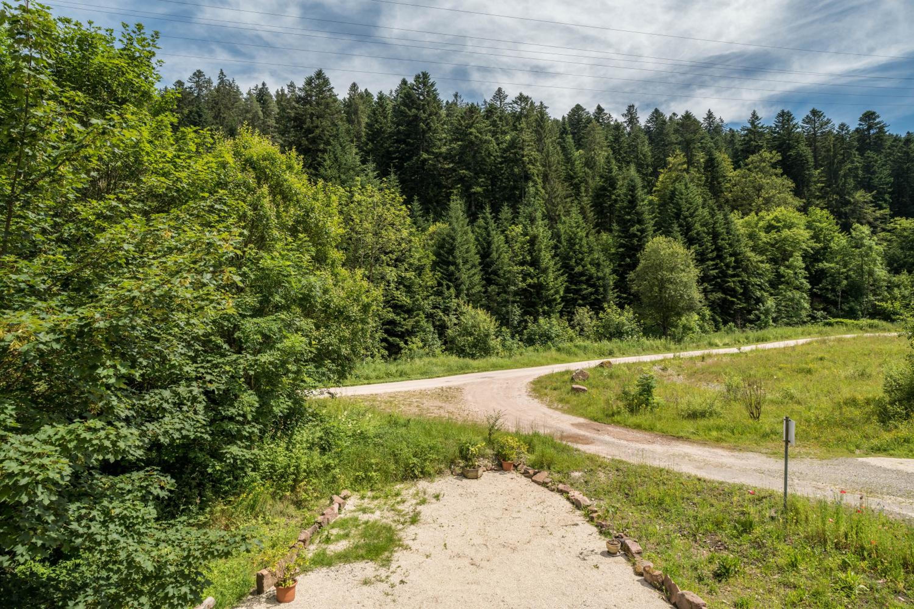 Ferienwohnung Waldblick