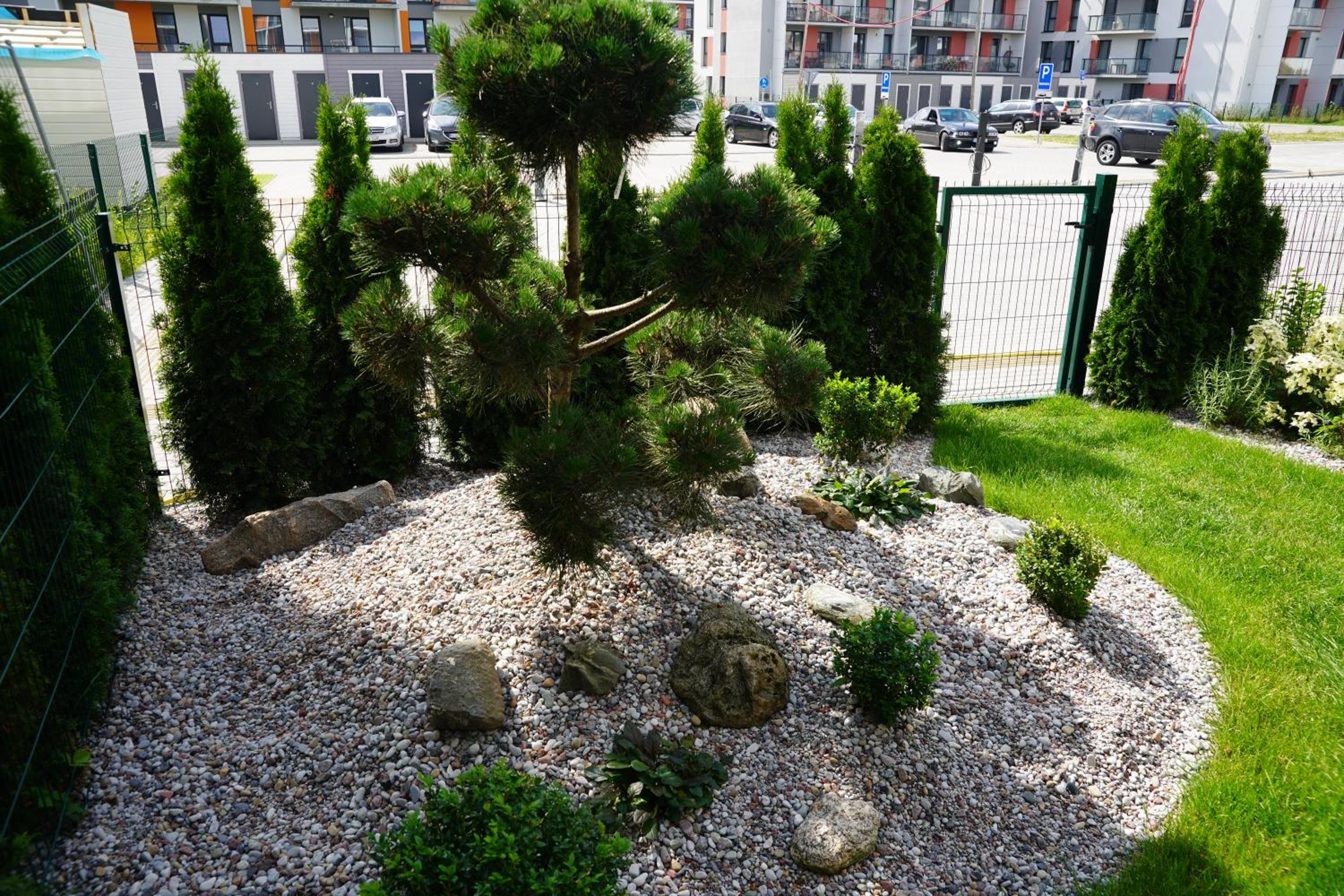 Photo 19