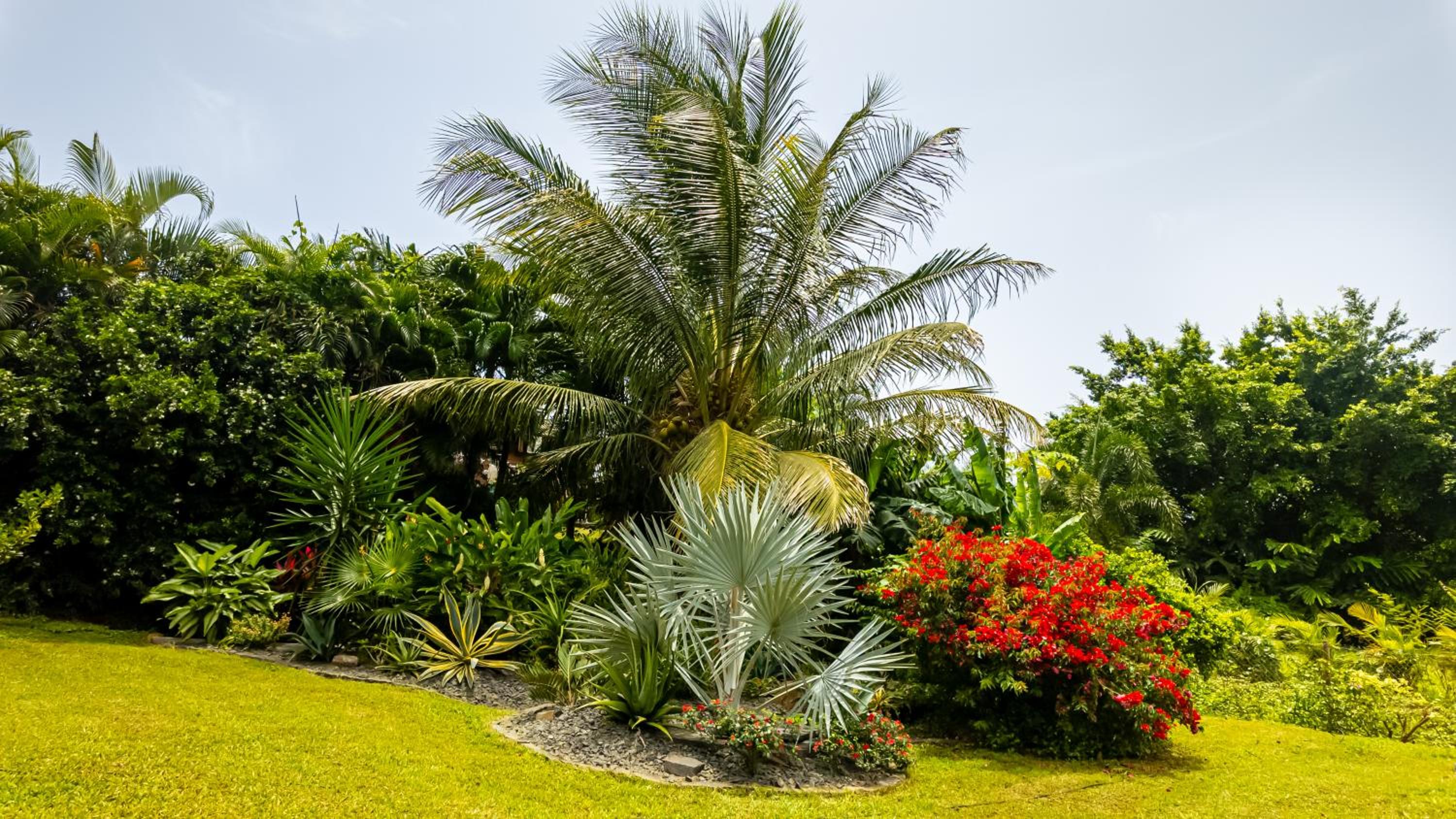 Au jardin d'Eole view 4