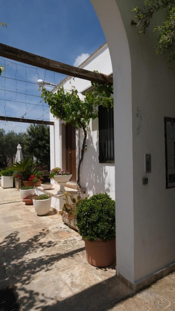 Agriturismo il Vignaletto view 2