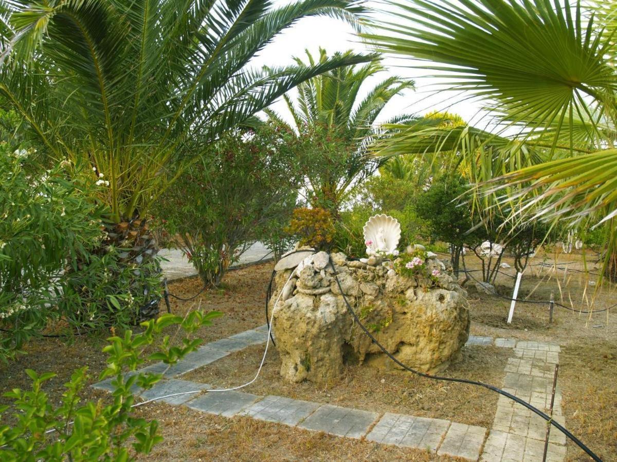 Photo 17