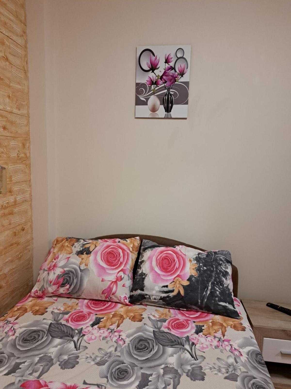 Apartman Iskra 1 view 4