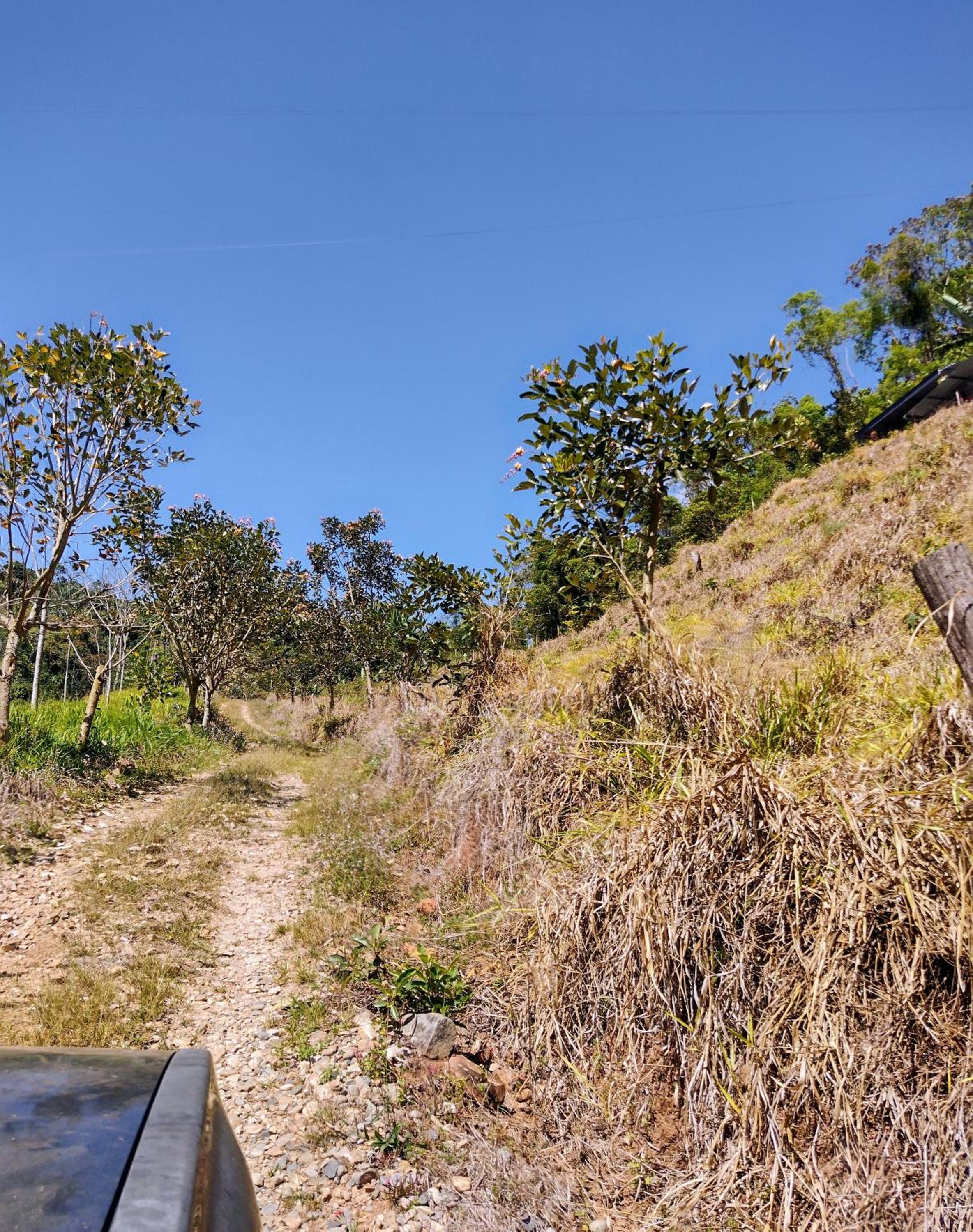 CANTO DEL RIO-Rivas- vista a la montaña- tranquilo