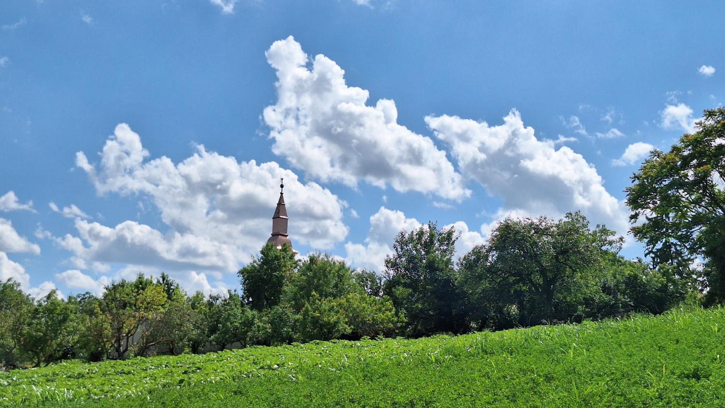 Photo 45