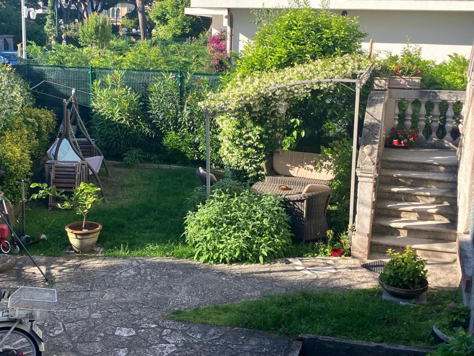 Photo 21
