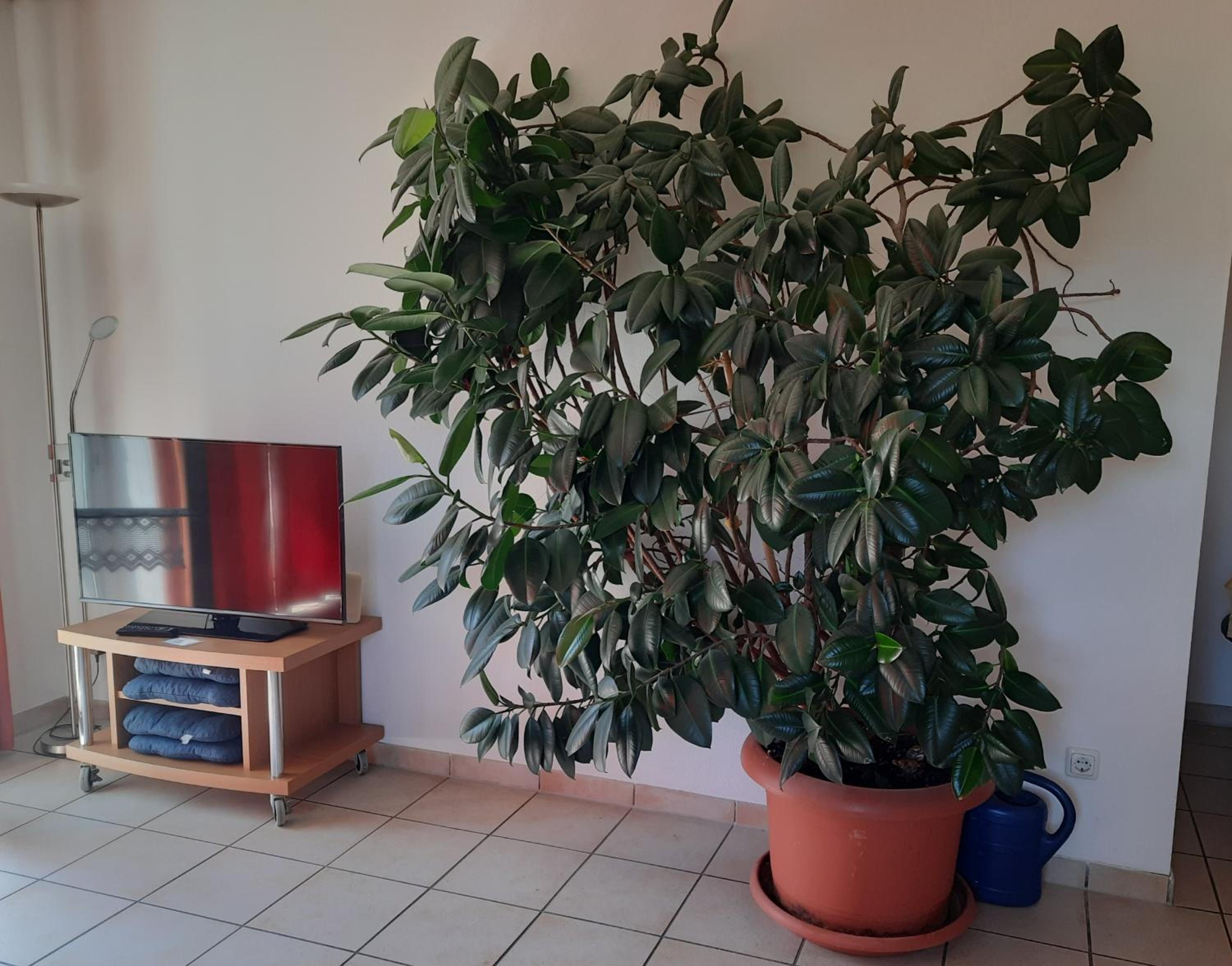 Ferienwohnung Ferstl, photo 14