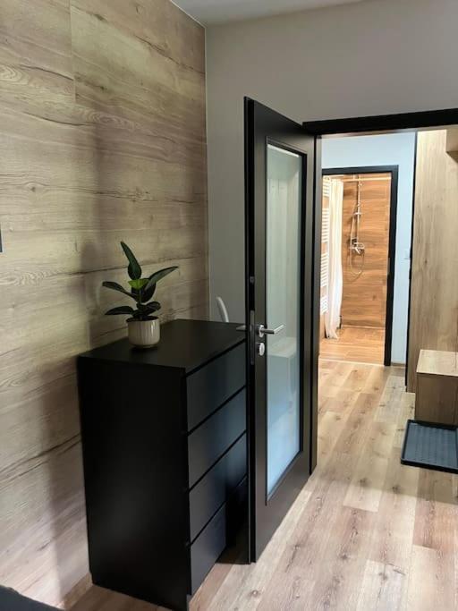 Apartmán Vrbno pod Pradědem