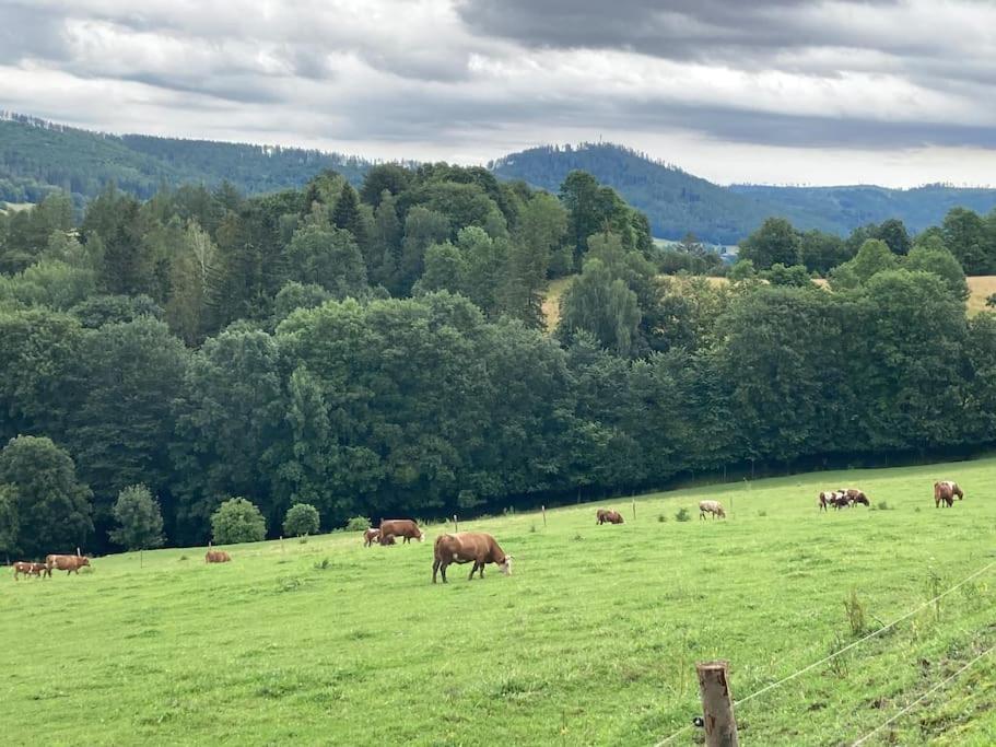 Apartmán Vrbno pod Pradědem