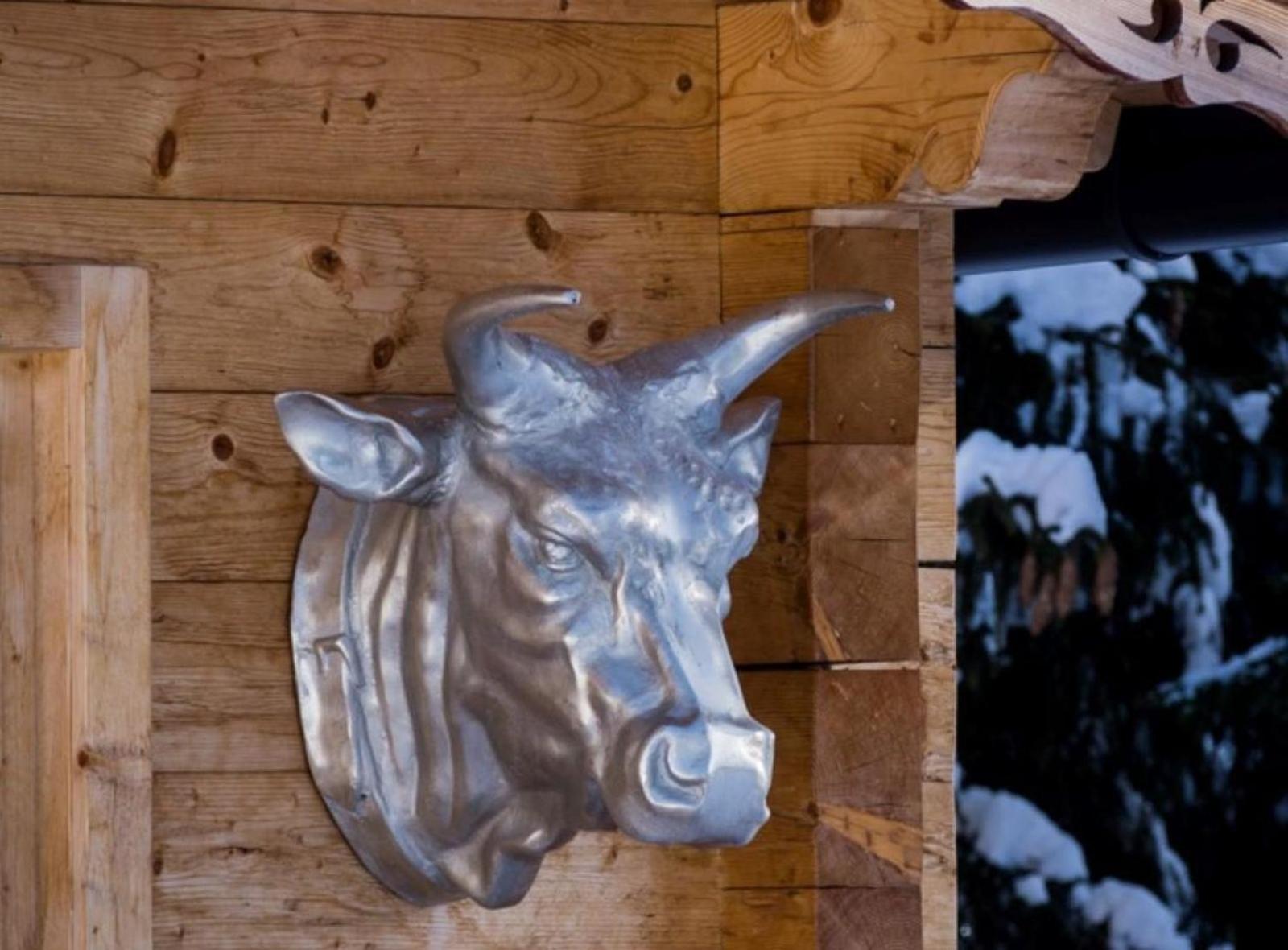 Chalet Zillertal Arena 3