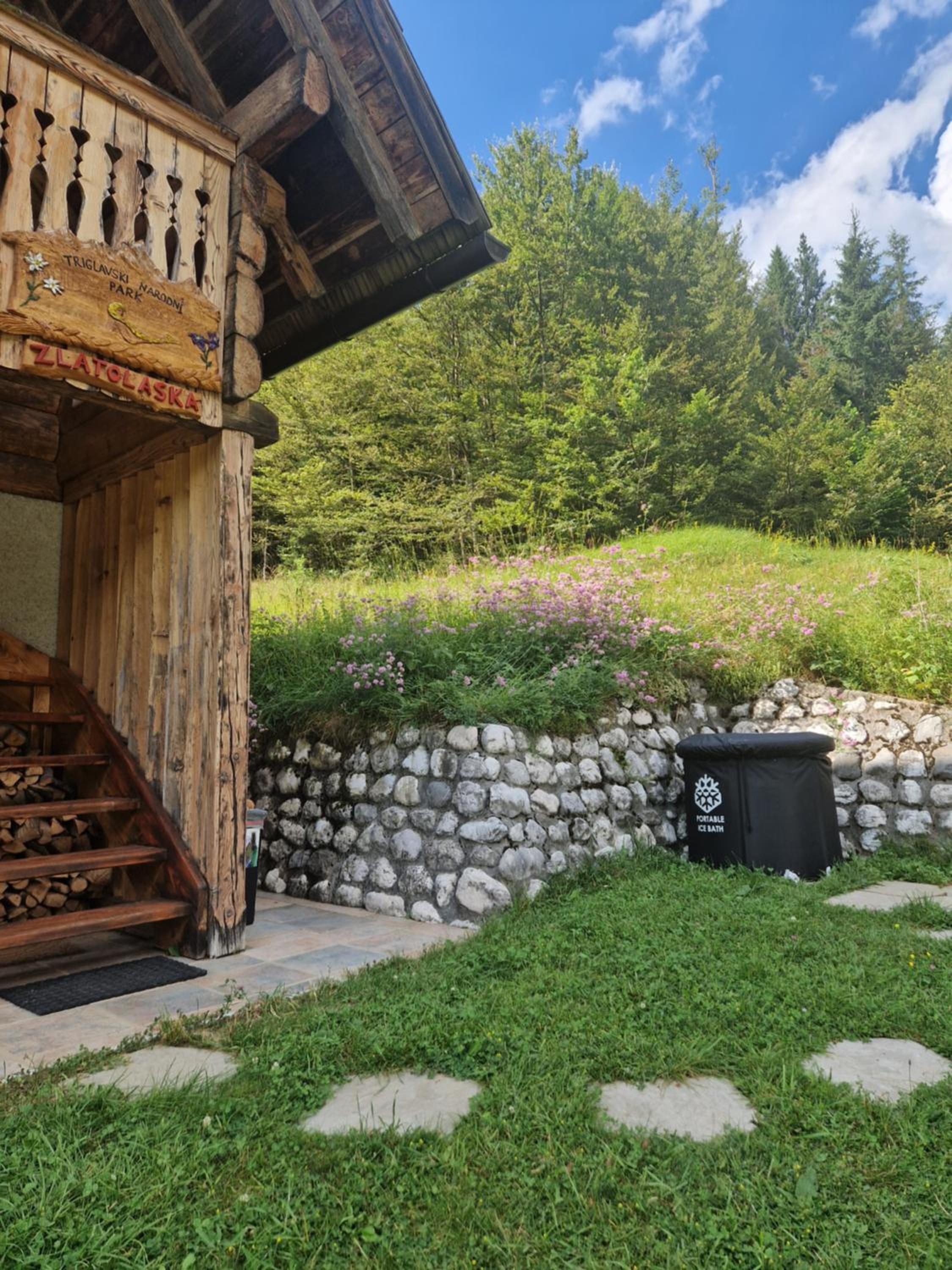 Apartment in Chalet Goldilocks