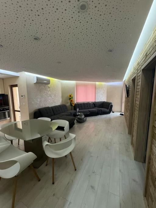 Sunny & Stylish Apartment