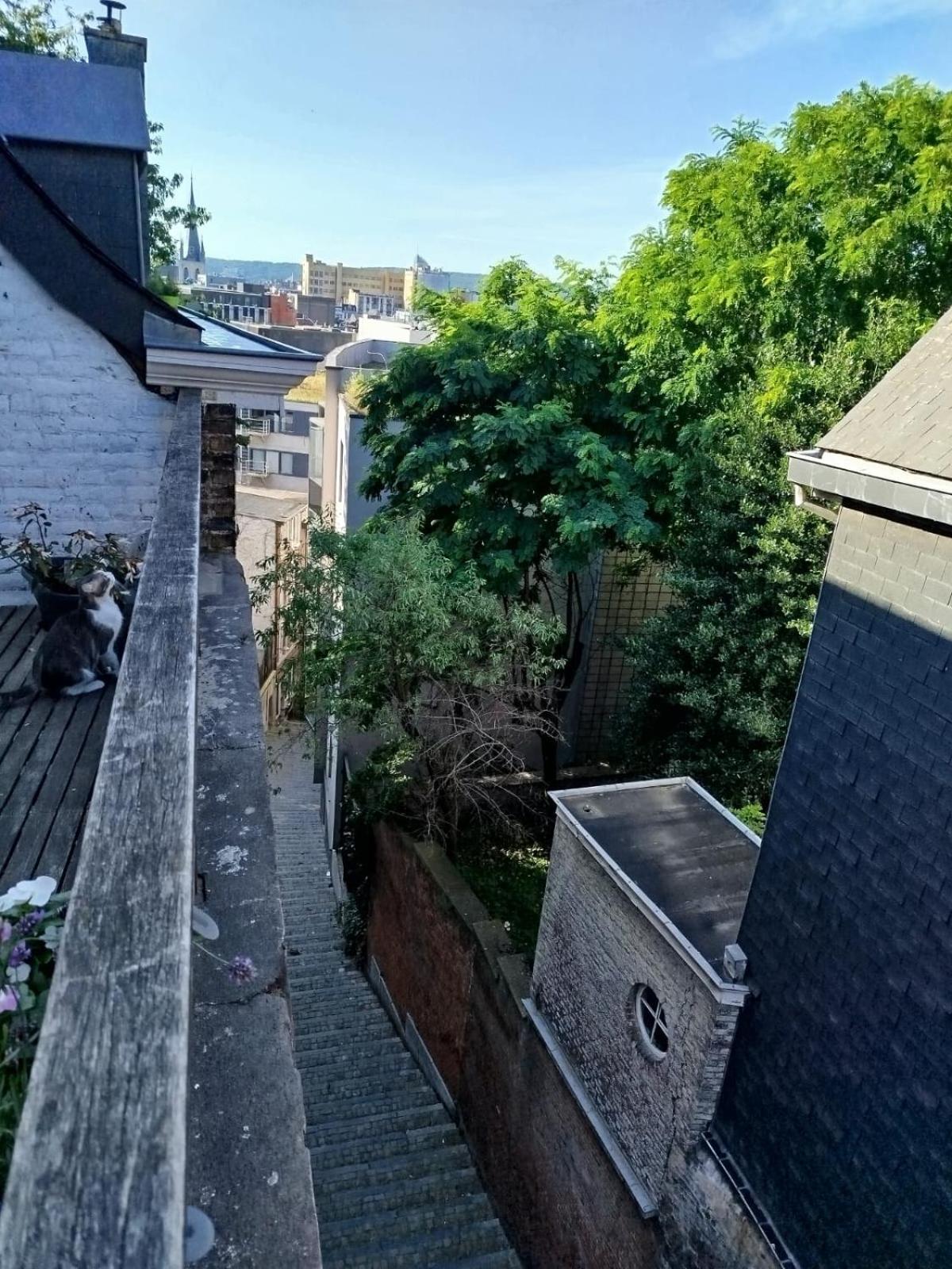 Appartement de charme en plein cœur de Liège