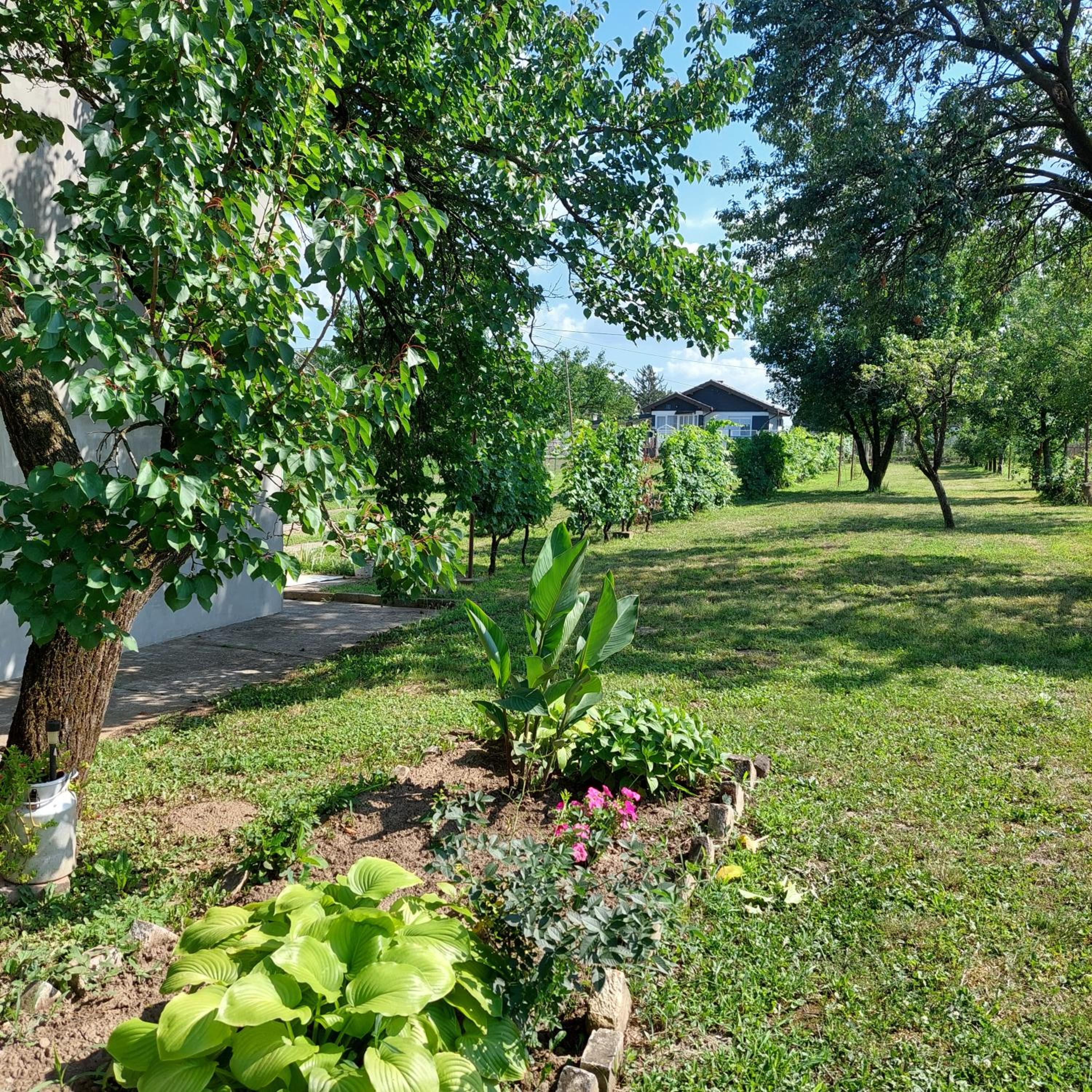 Kuća za odmor Gazda