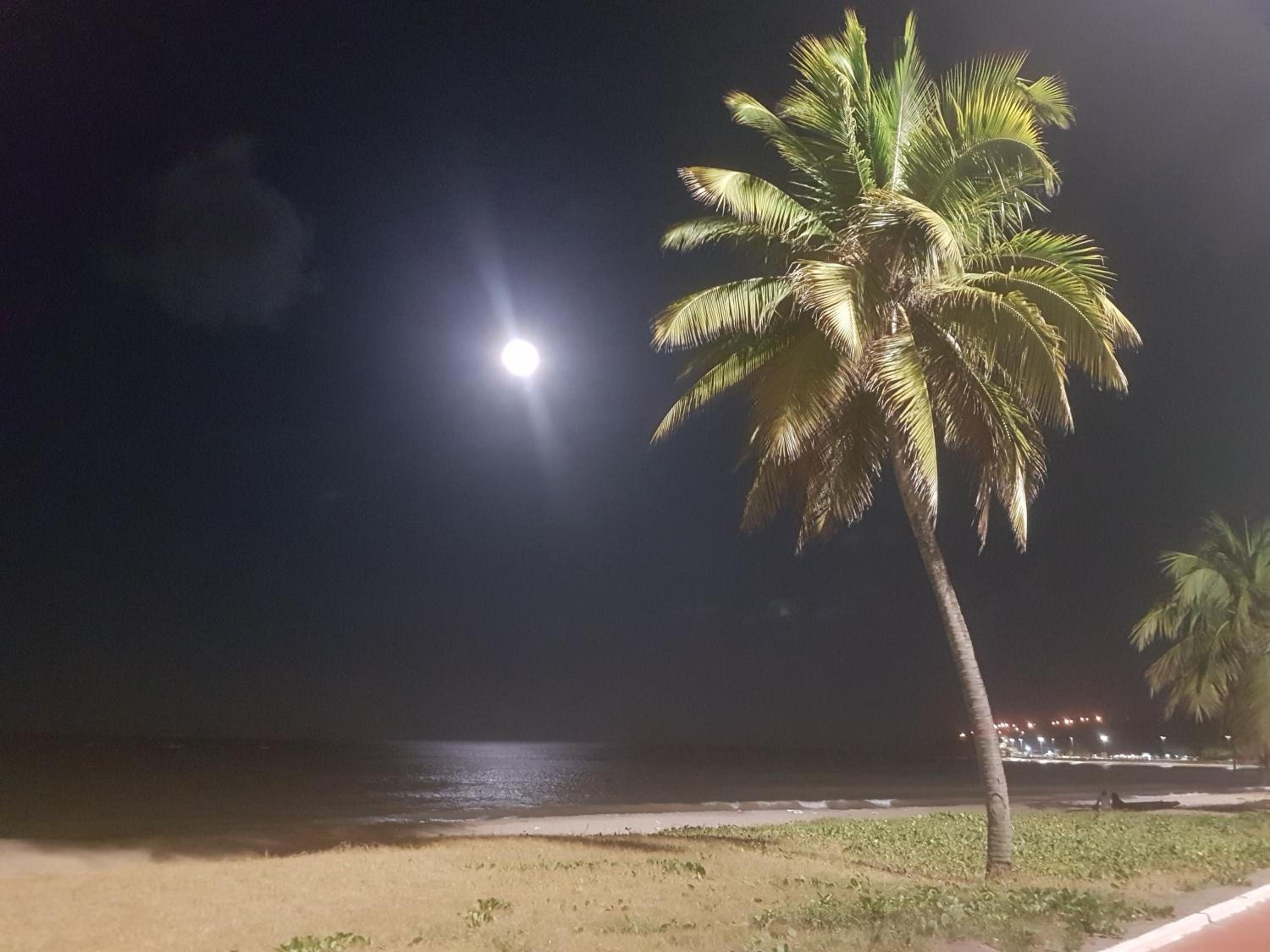 Charmoso de frente ao mar
