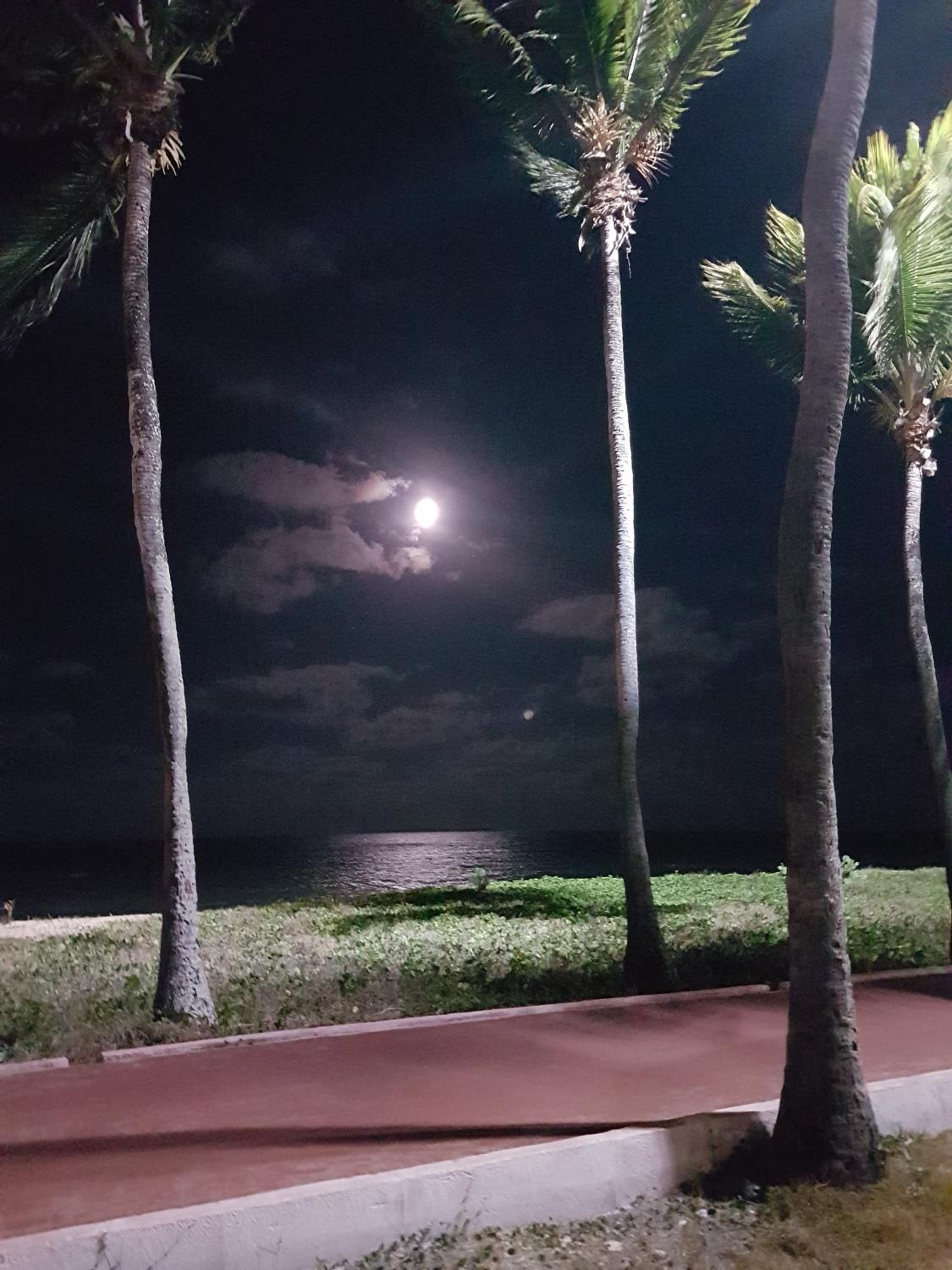 Charmoso de frente ao mar