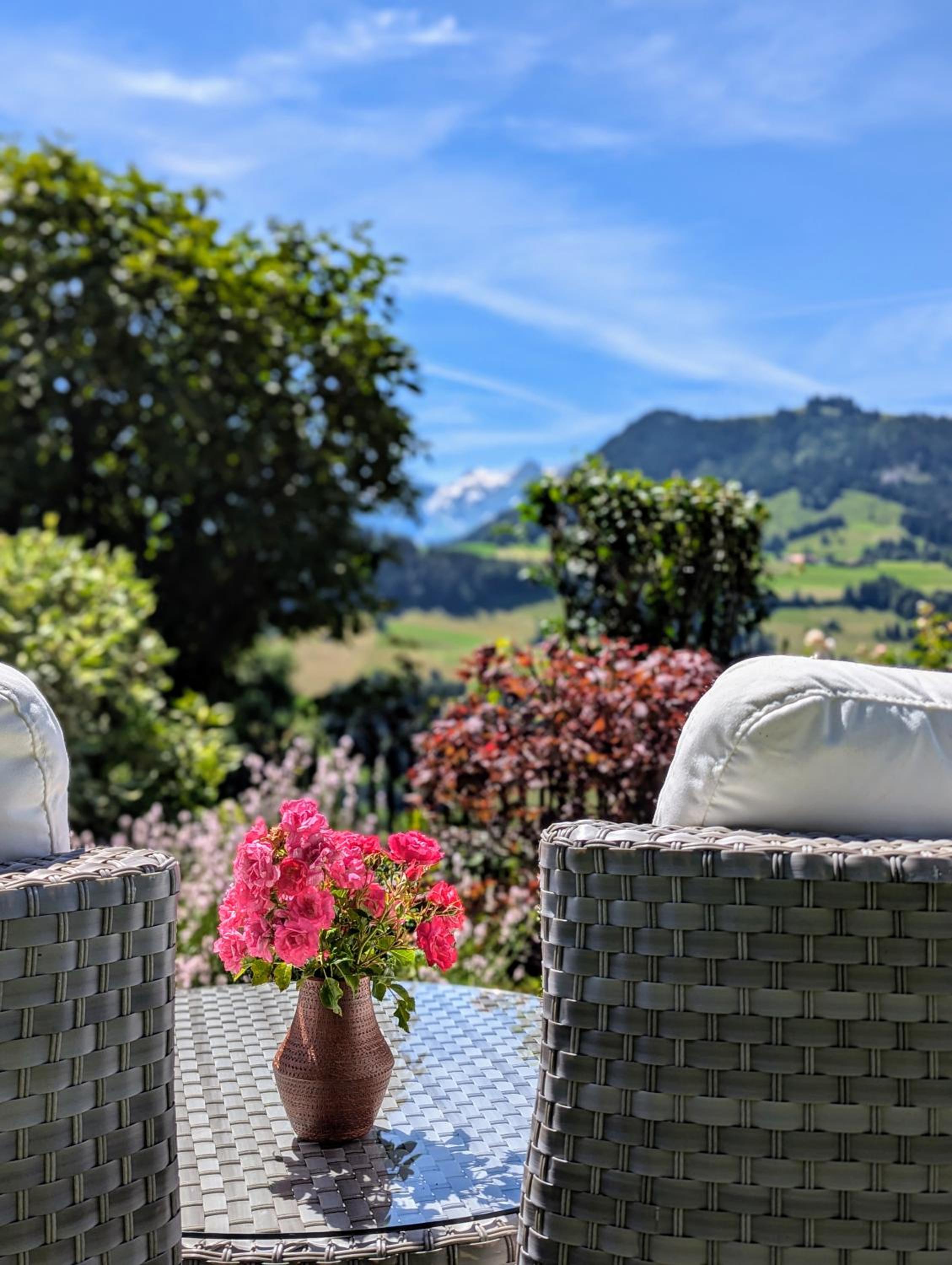 Swiss Mountain-Valley View Lodge
