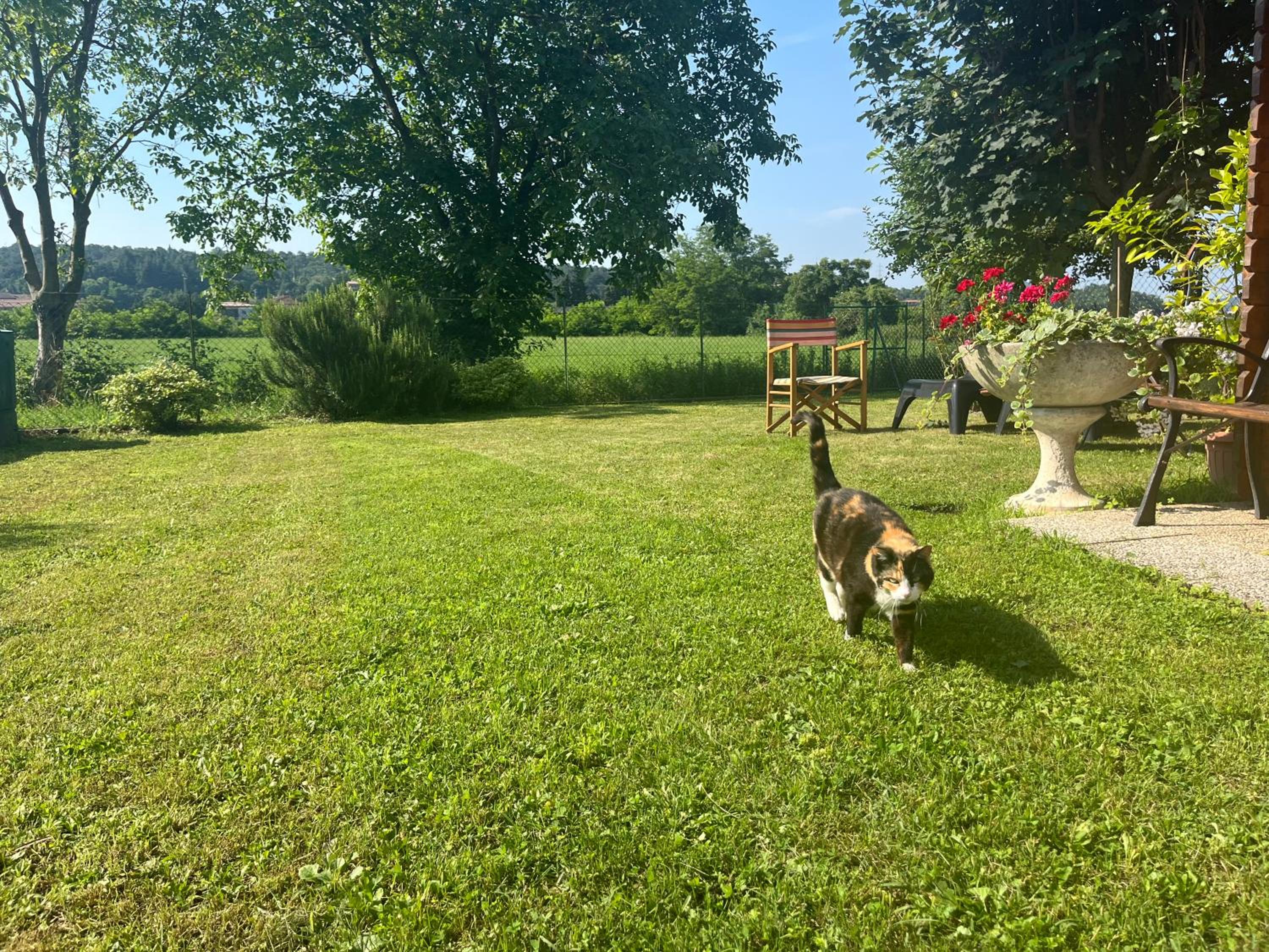 Photo 33