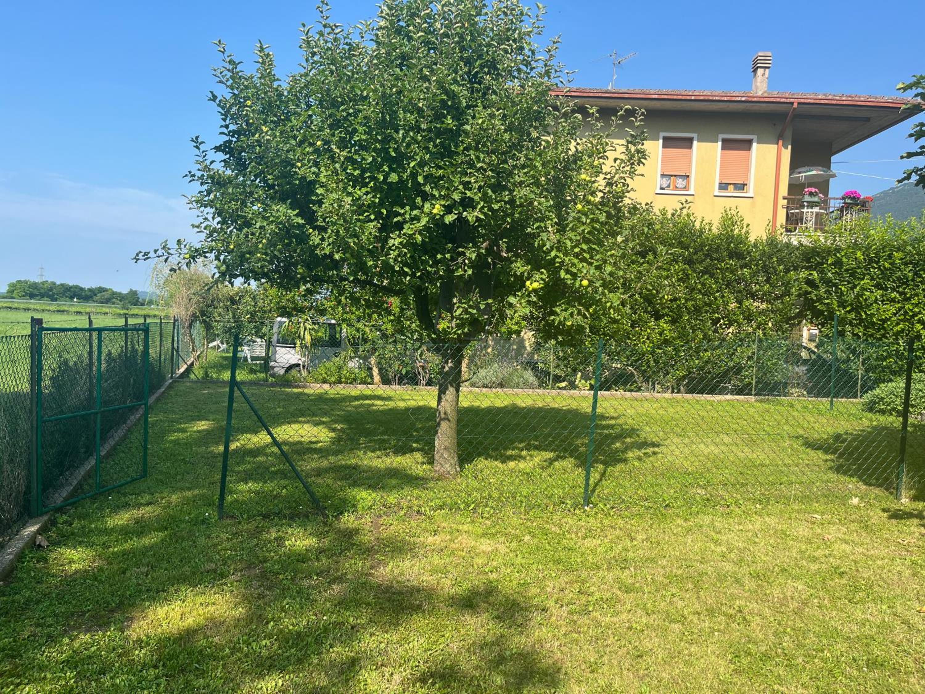 Photo 34