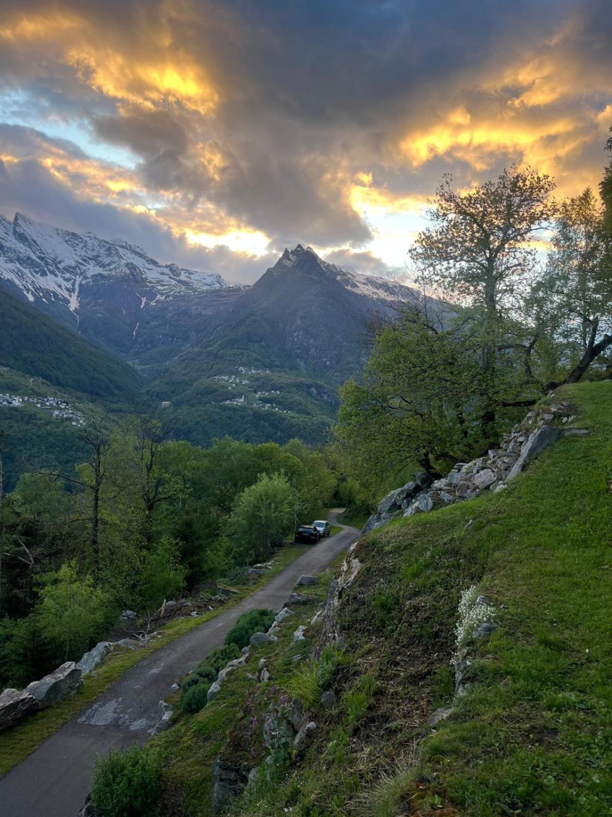 Res Albert - Chalet nel Bosco