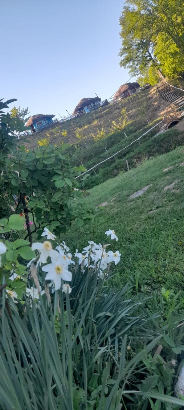 Odaia Bunicilor