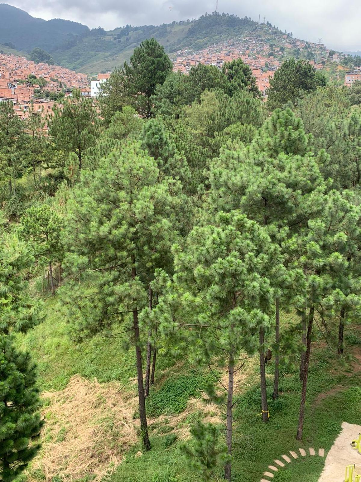Apto Familiar con Vista Campestre