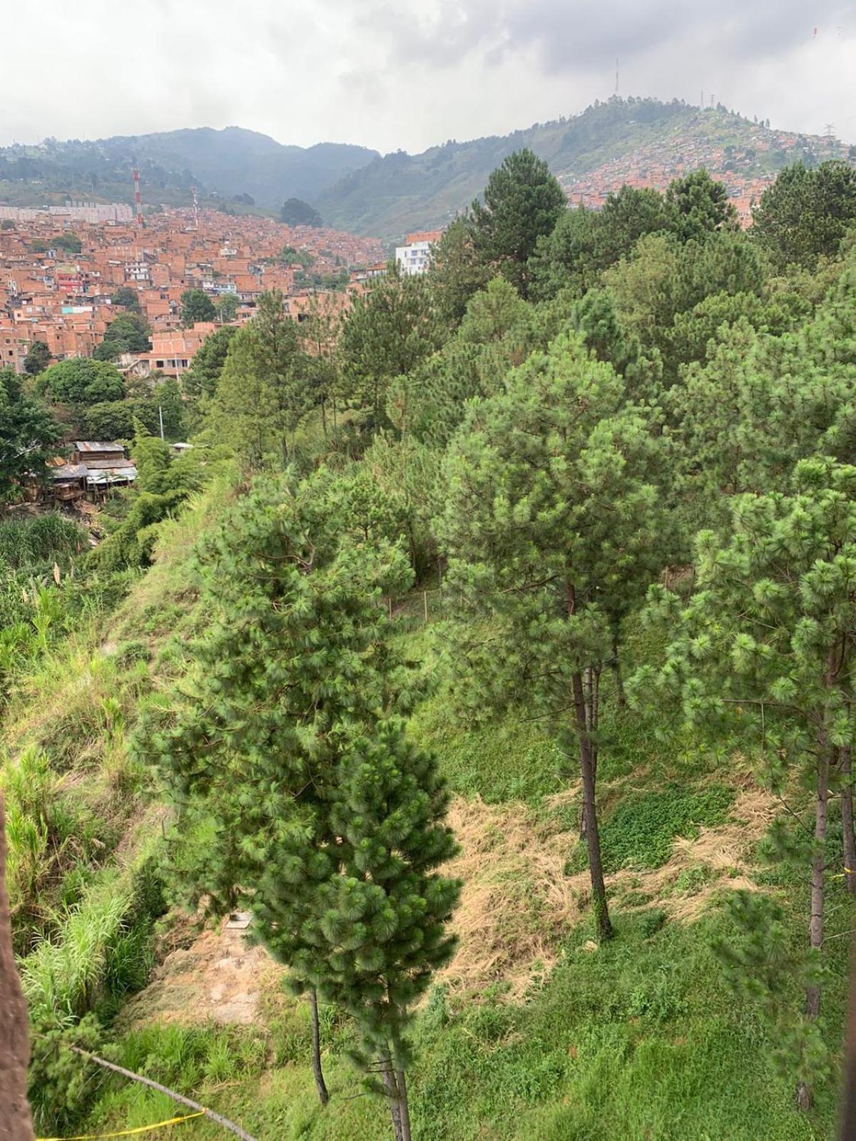 Apto Familiar con Vista Campestre
