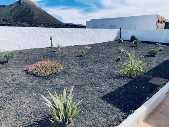 Casita Volcan Lanzarote